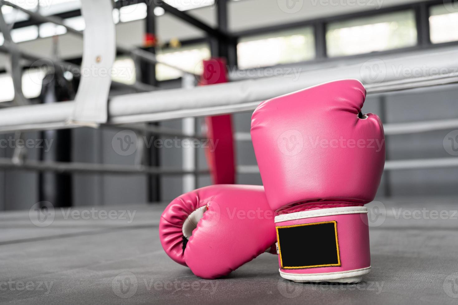 guantes de boxeo rosas para peleas de niñas y mujeres con espacio para copiar. foto