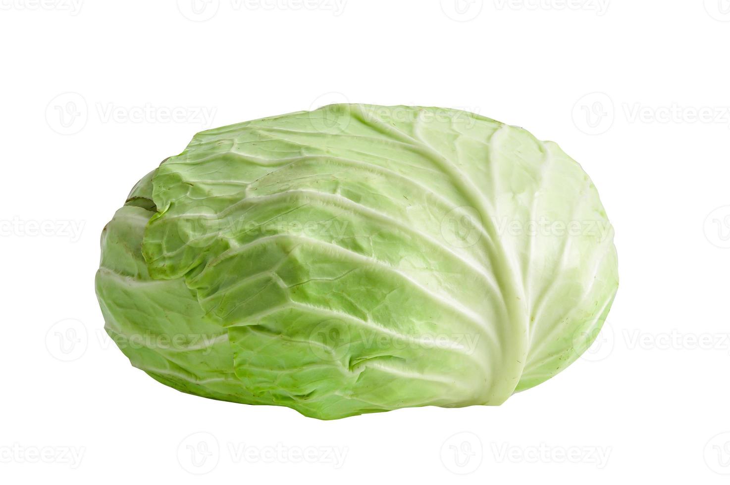 Cabbage vegetable isolated on white background. photo
