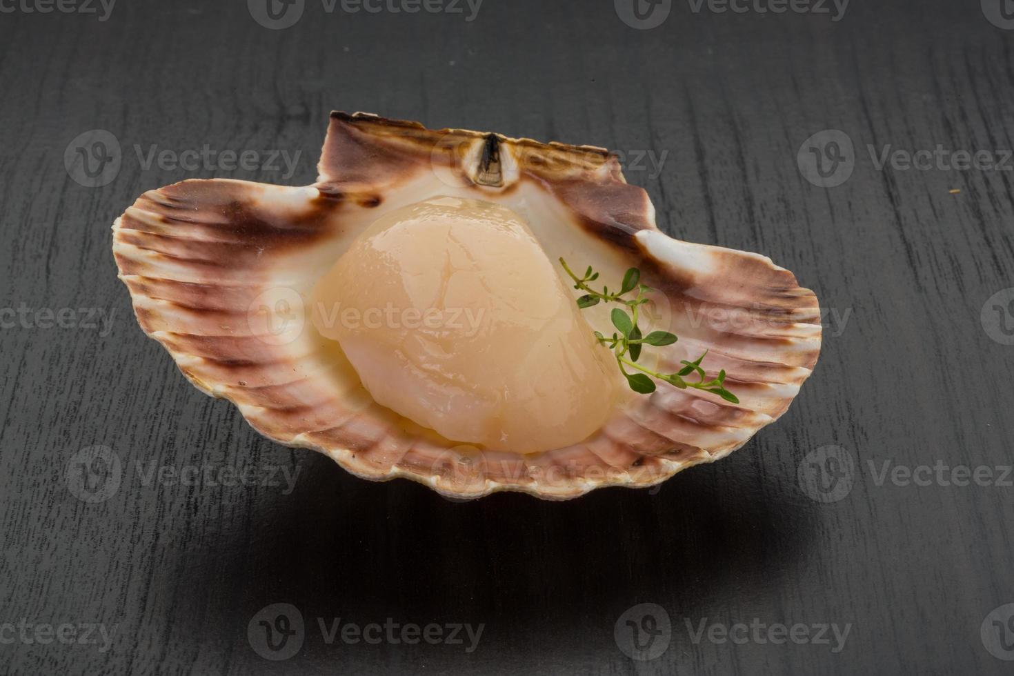 Raw scallops on wooden background photo