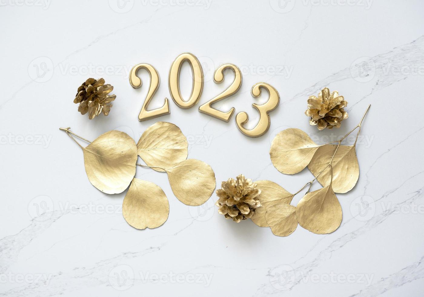 New year 2023 holidays card photo