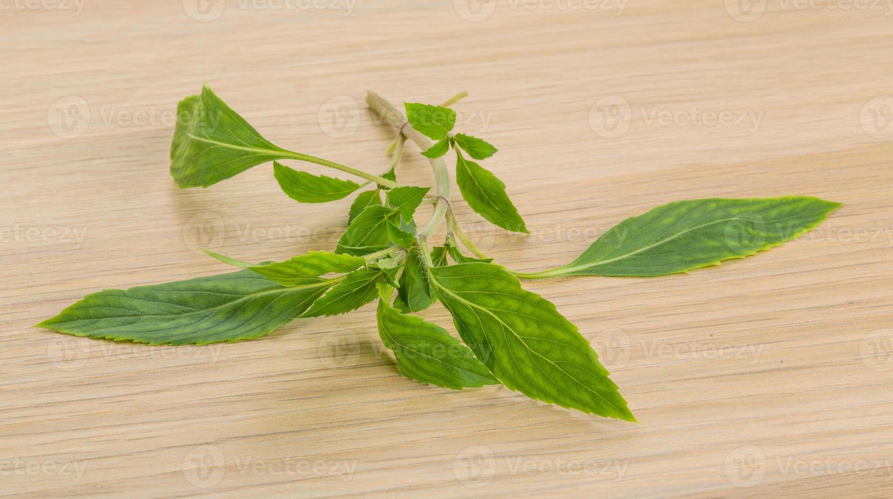 Bergamot leaves on wooden background photo