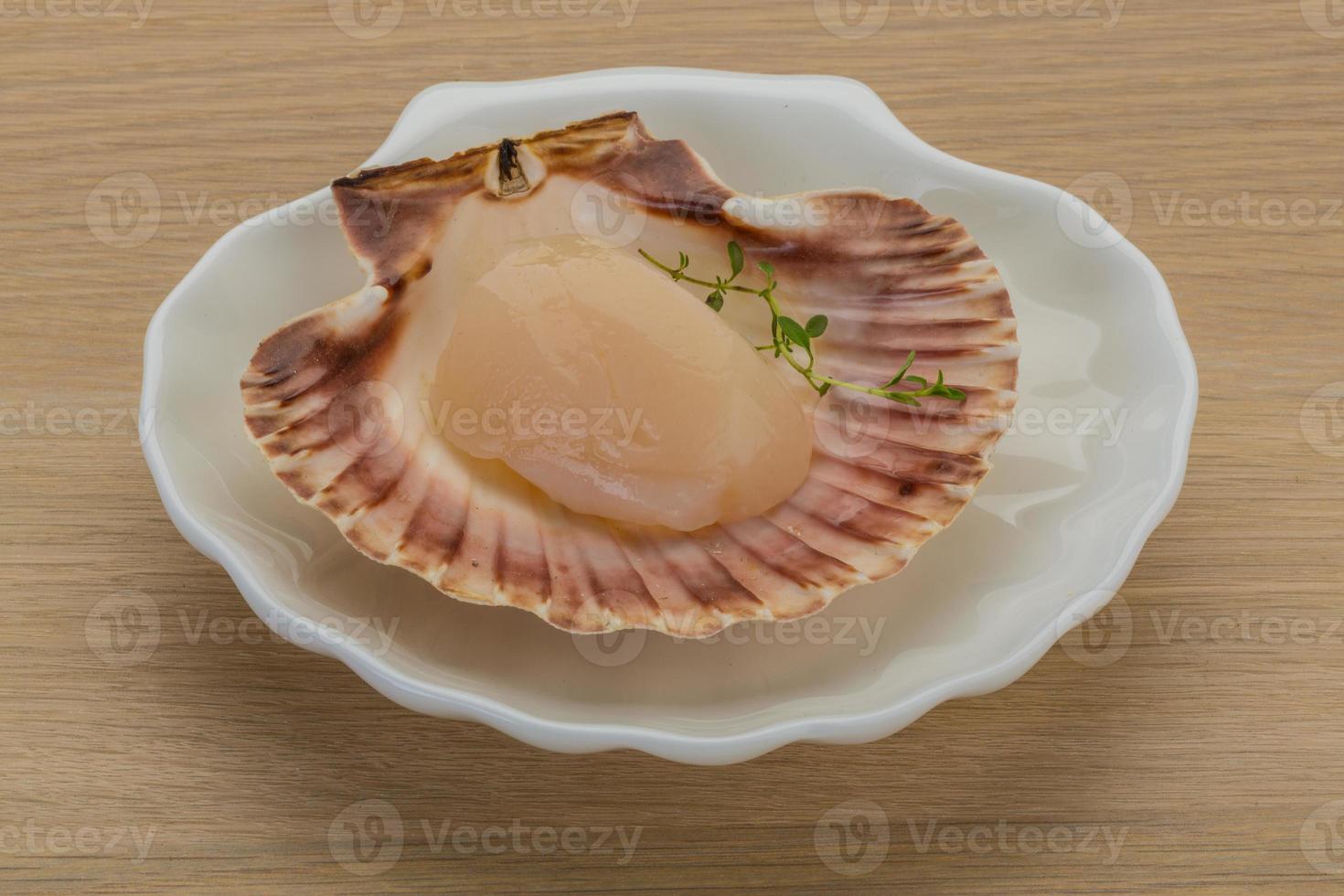 Raw scallops on the plate and wooden background photo