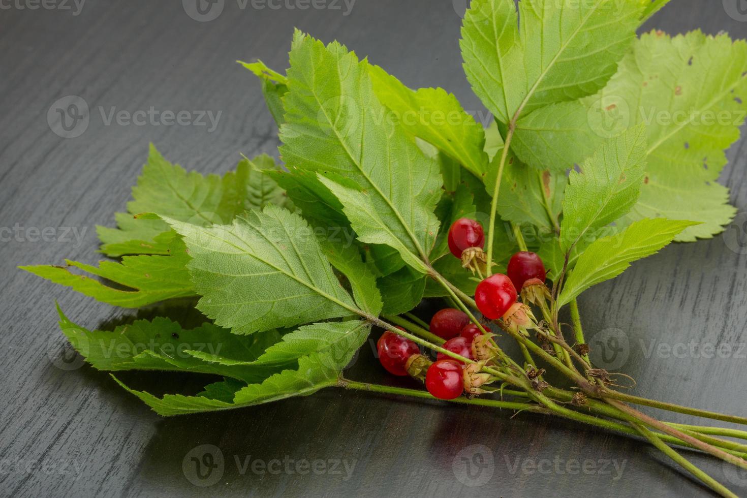 Stone bramble on wooden background photo