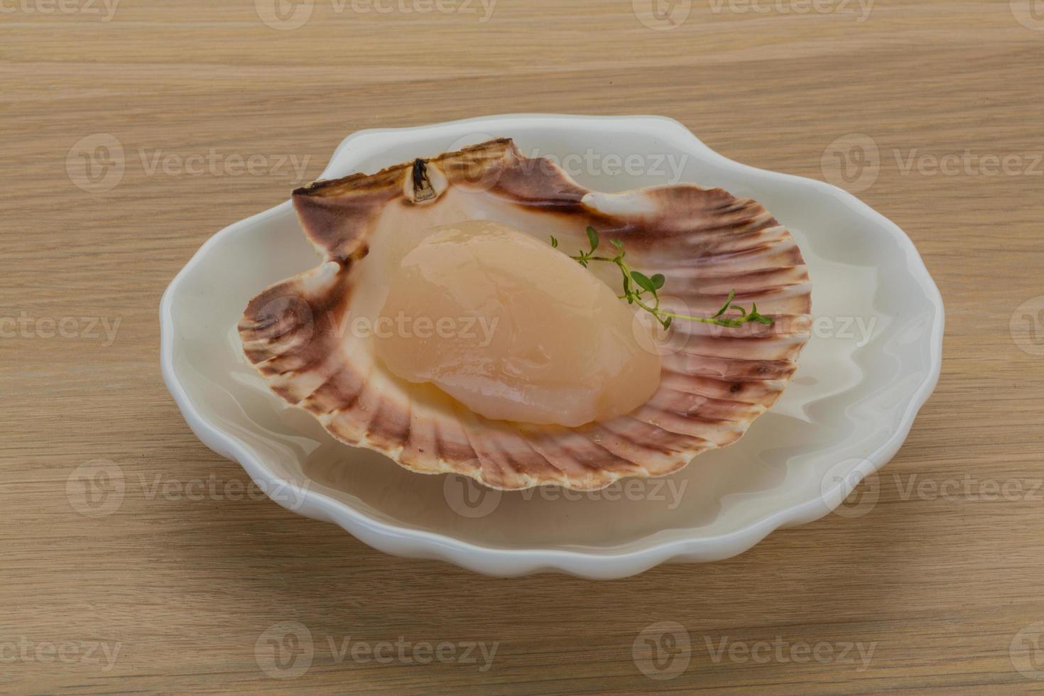 Raw scallops on the plate and wooden background photo