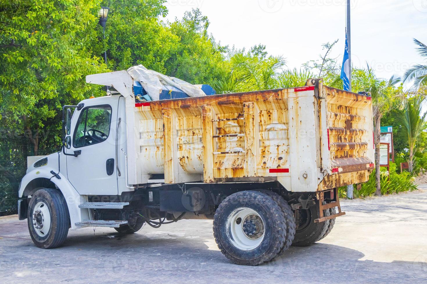 Dump truck excavator remove seagrass seaweed sargazo from beach Mexico. photo