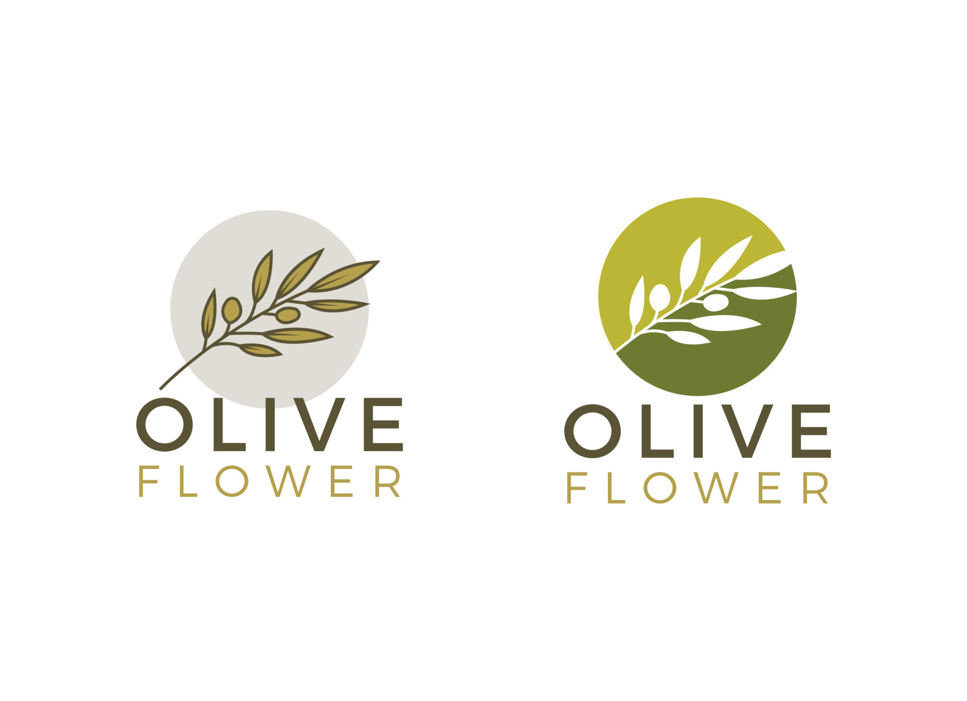 Olive Leaf Pattern Vector Art, Icons, and Graphics for Free Download