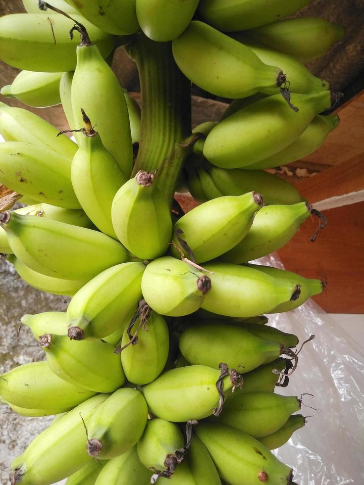 bananas are still green hanging on a wooden pole.low view,normal view