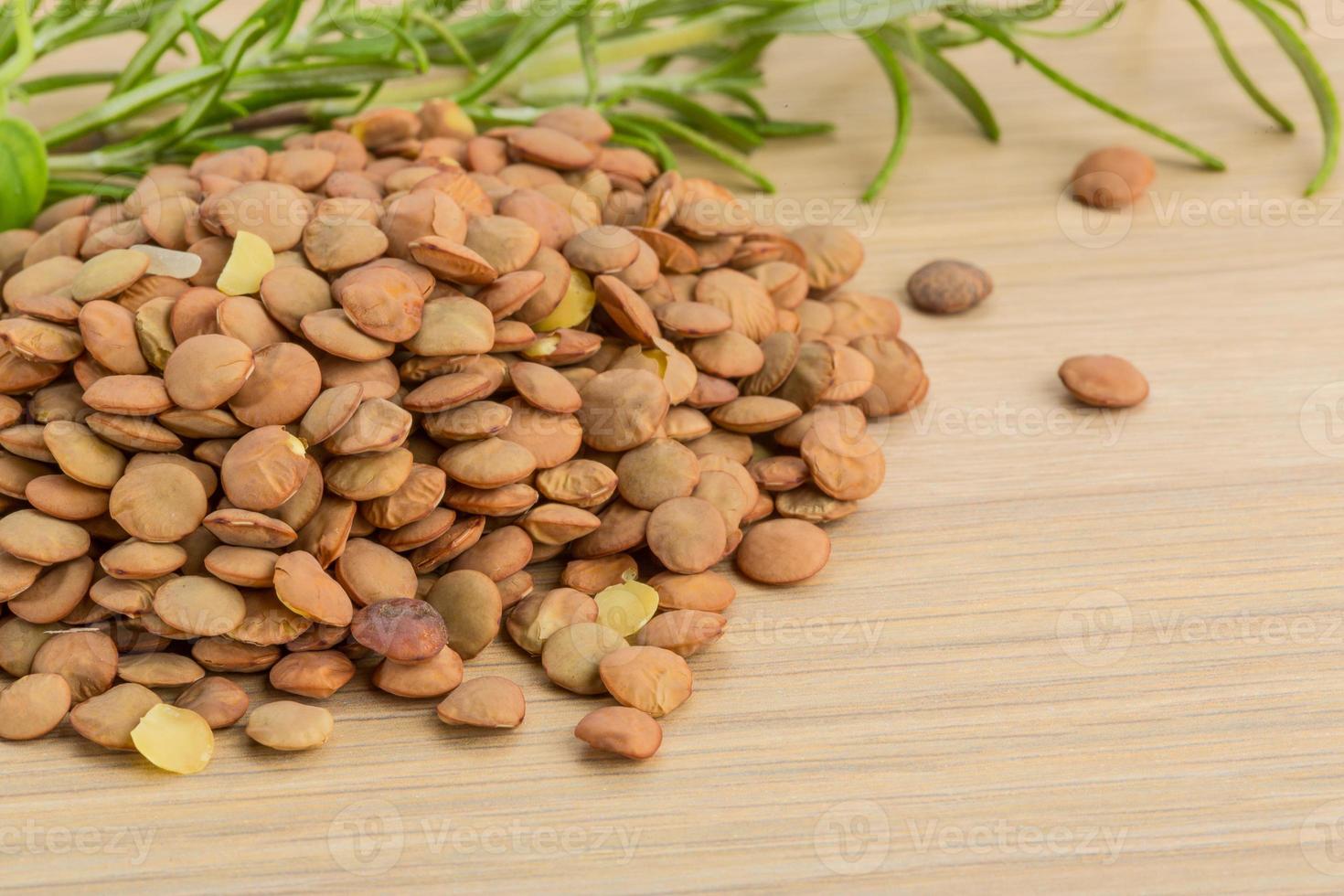 Raw lentils on wooden background photo