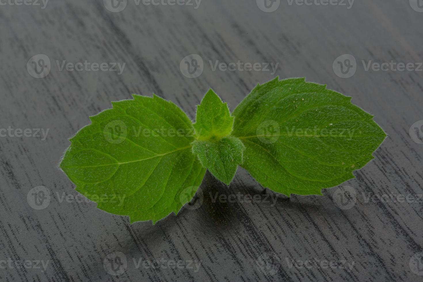 Mint leaves on wooden background photo