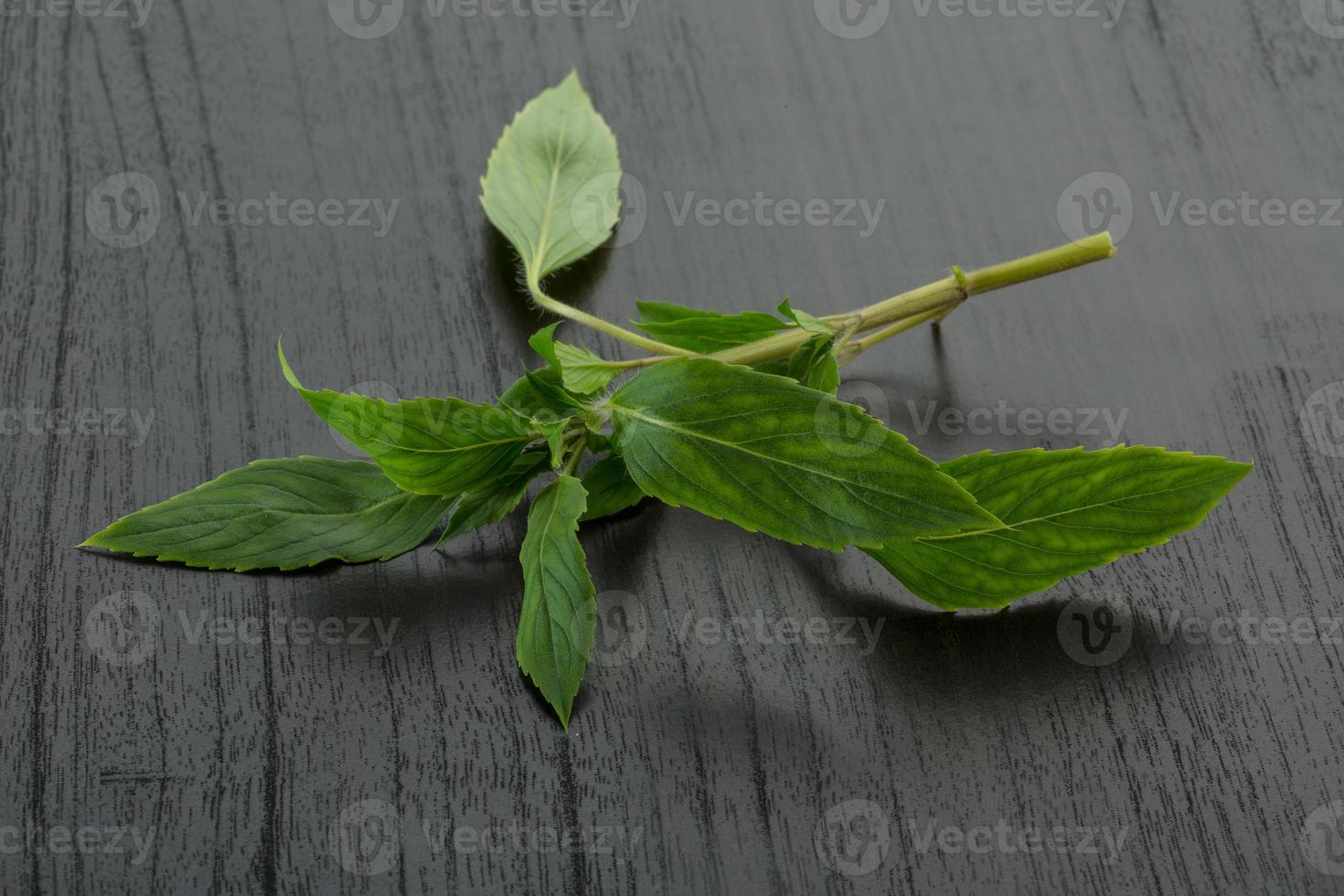 Bergamot leaves on wooden background photo