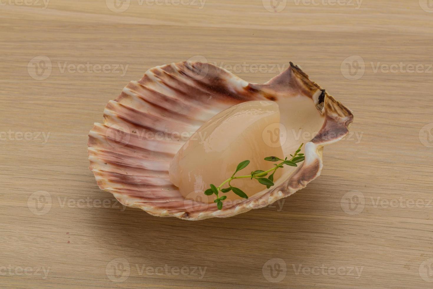 Raw scallops on wooden background photo