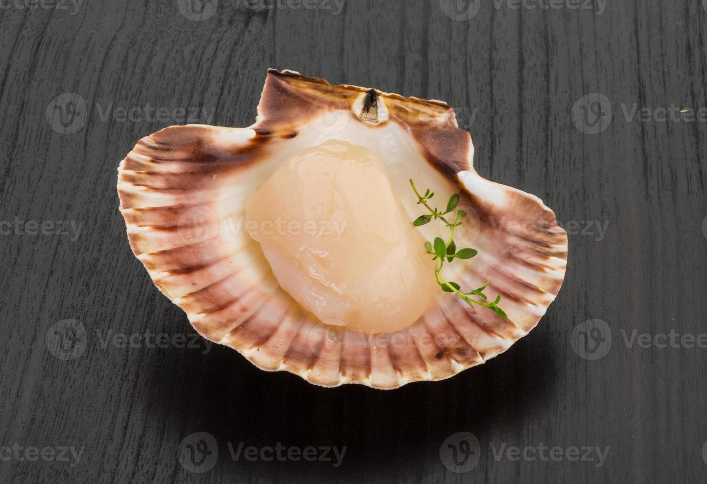 Raw scallops on wooden background photo