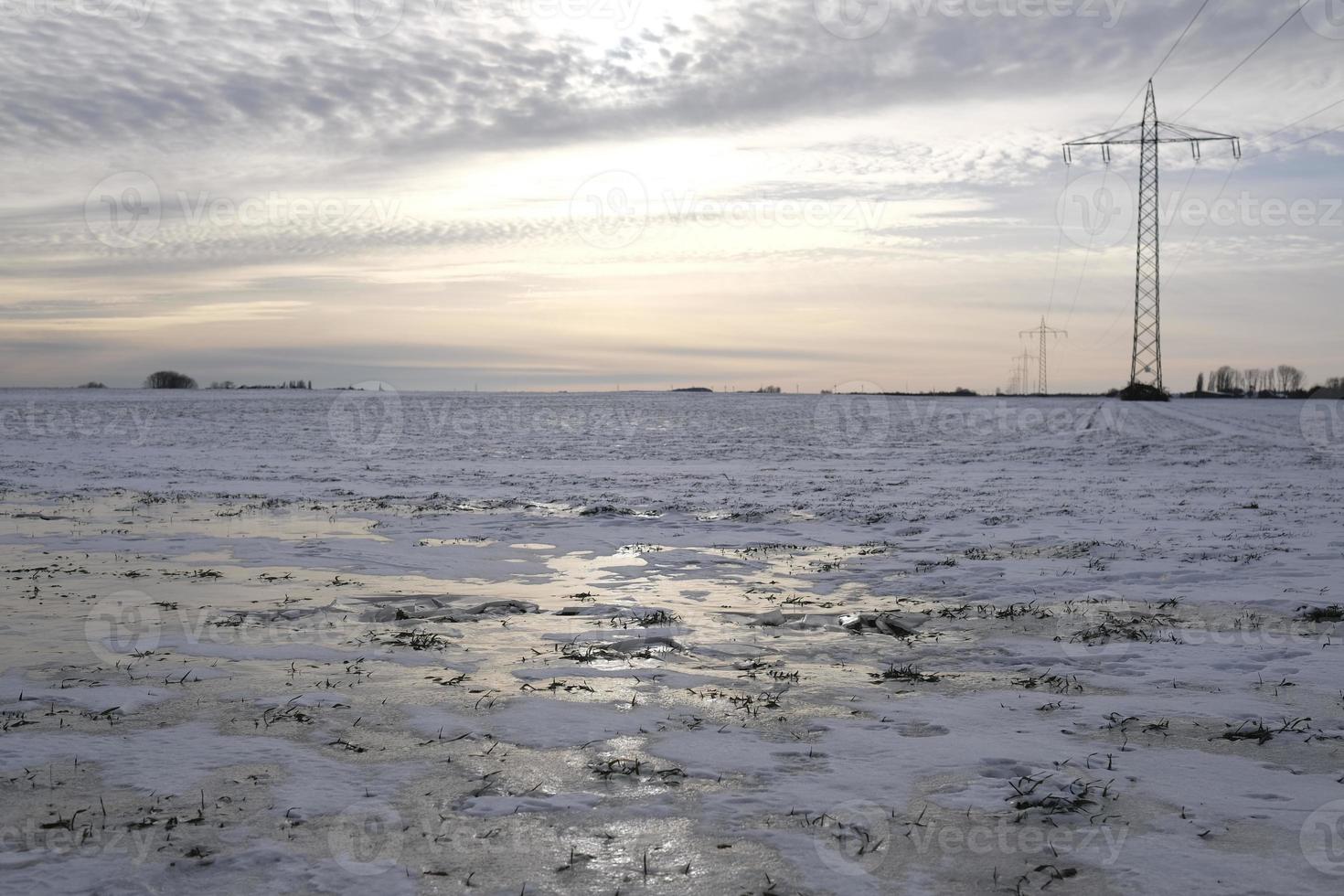 Tranquil winter landscape with frozen ground photo