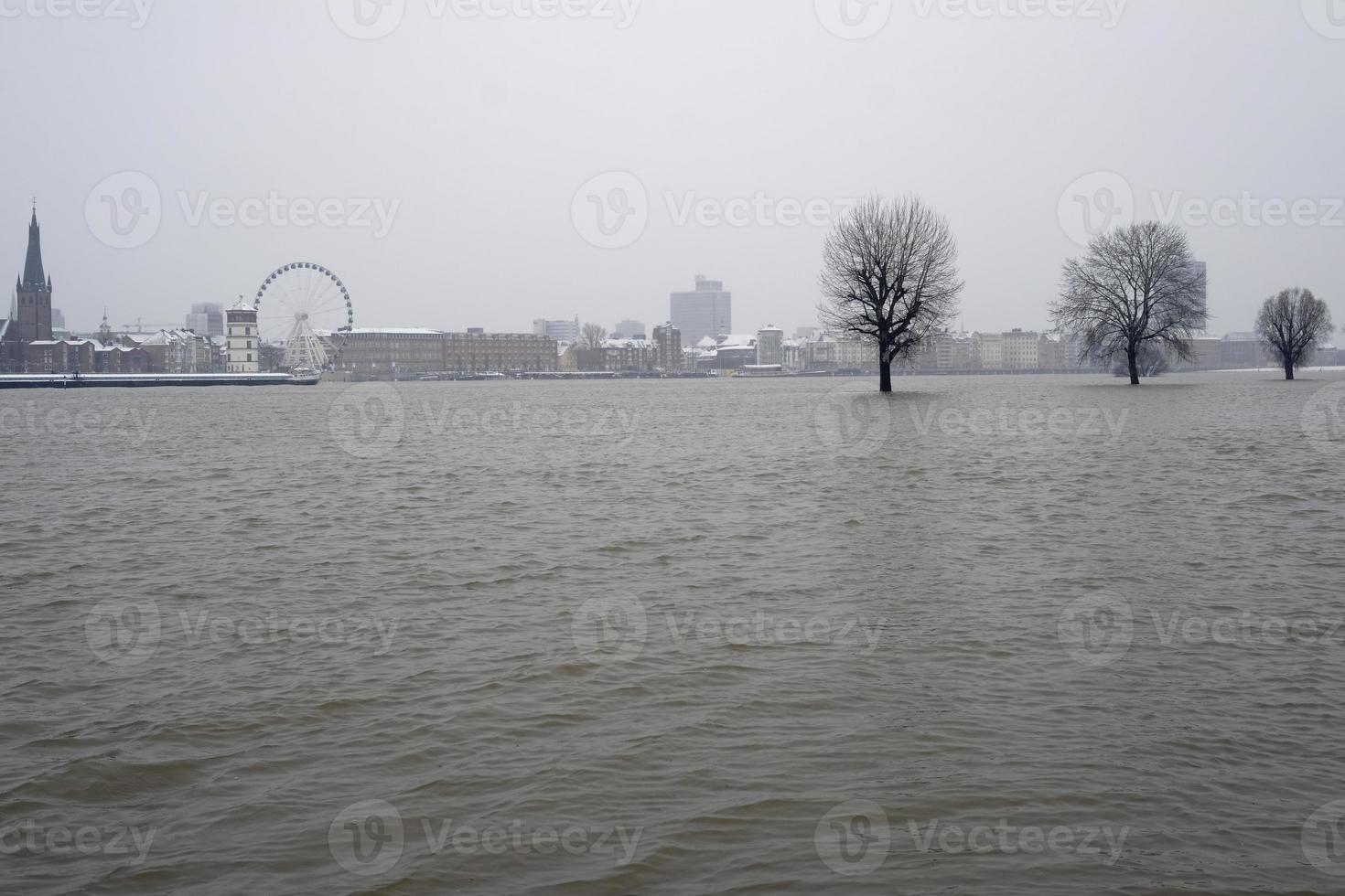Extreme weather - Trees standing in the water of a flooded foot path in Dusseldorf, Germany photo