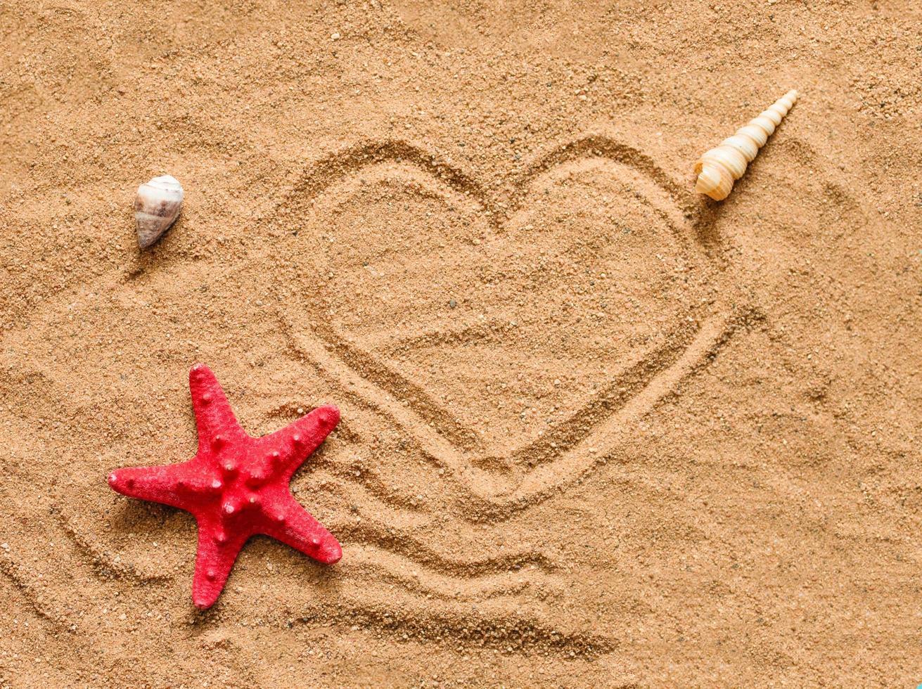 Sandy beach with red starfish Transportation background. Beautiful beach. Travel concept. Natural seascape. Travel concept. Summer vacation. photo