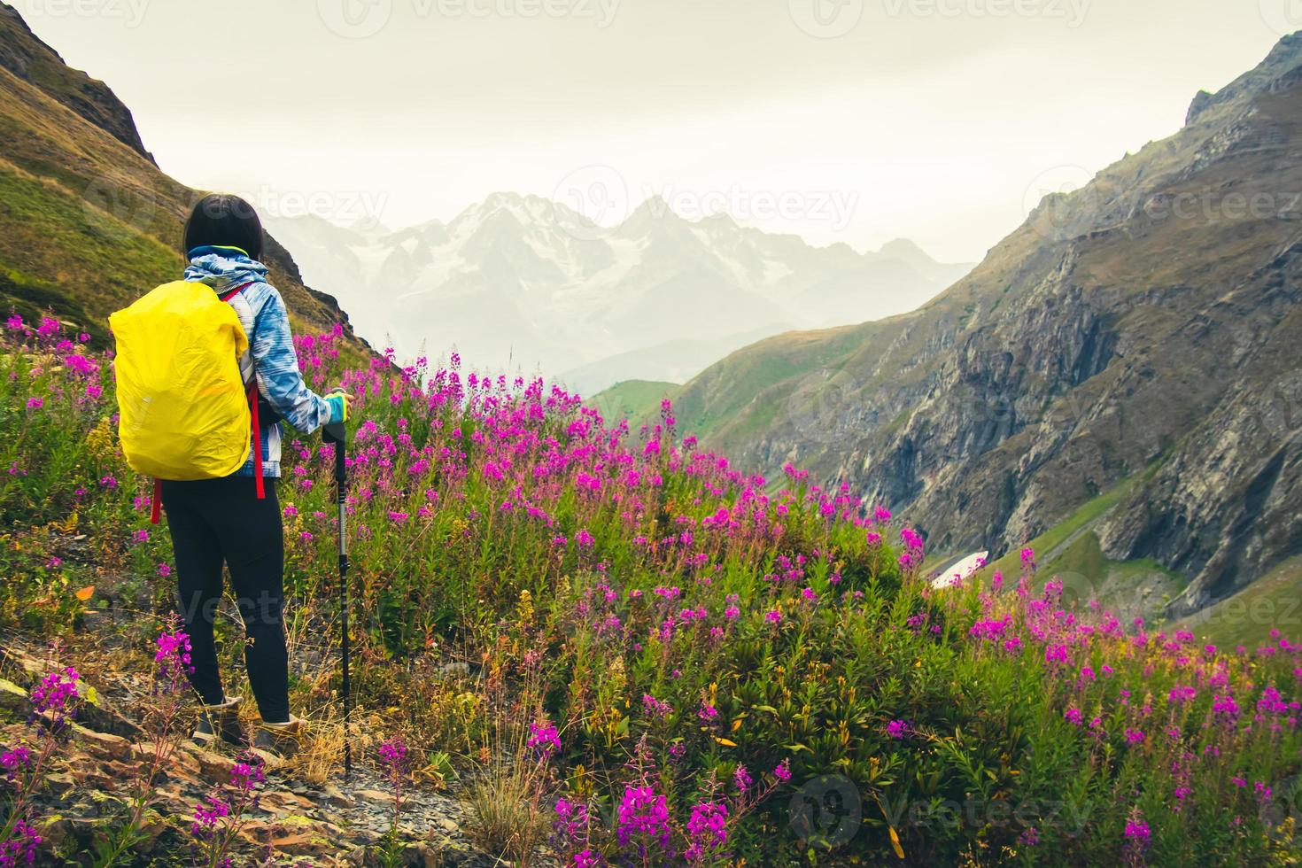 Fit muscular middle-age female hiker with nordic walk sticks stand on viewpoint uphill in green hiking trail in caucasus mountains .Recreational activities and healthy lifestyle photo