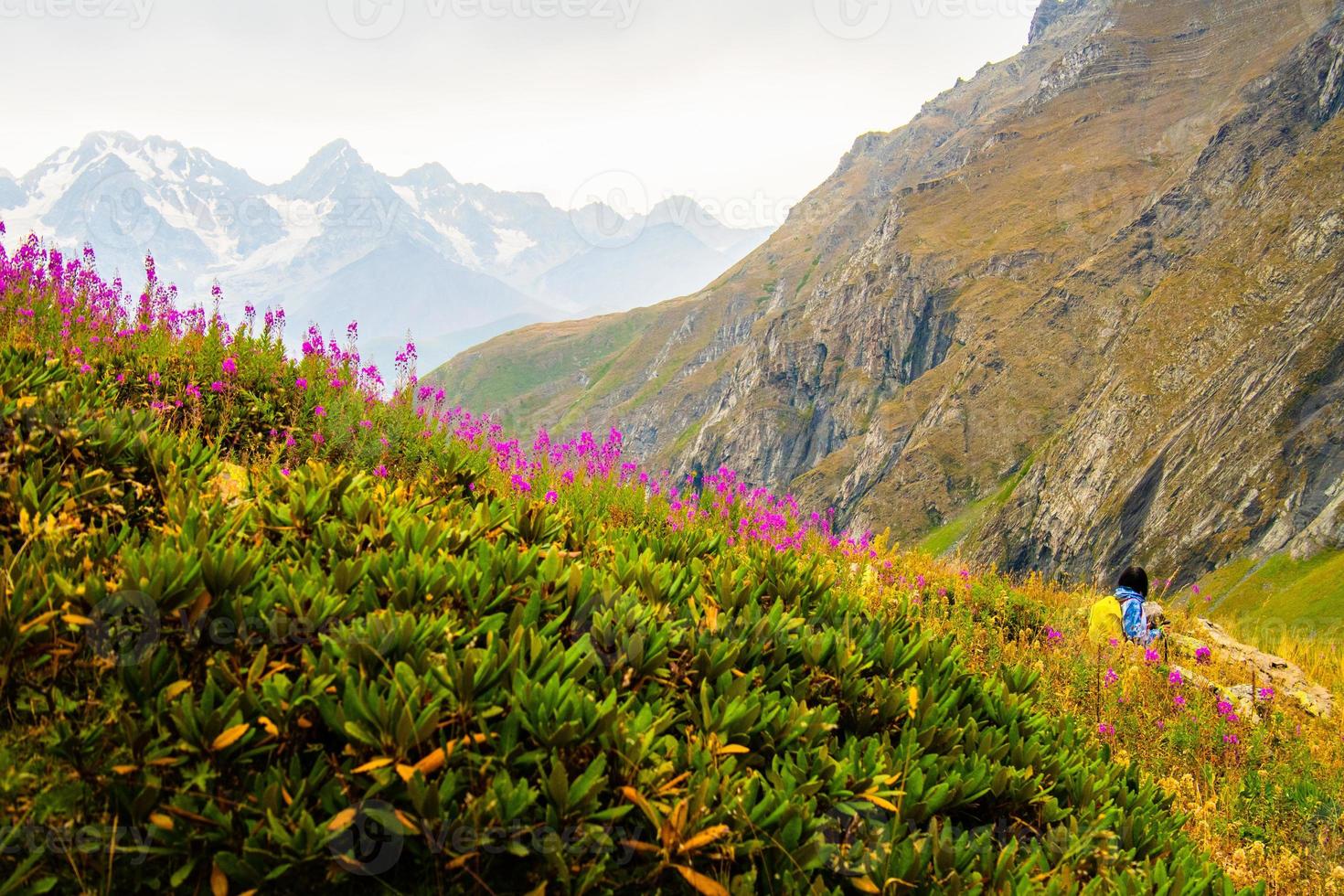 One female hiker on trekking trail hike donwhill in green summer nature in caucasus mountains .Recreational activities and healthy lifestyle photo