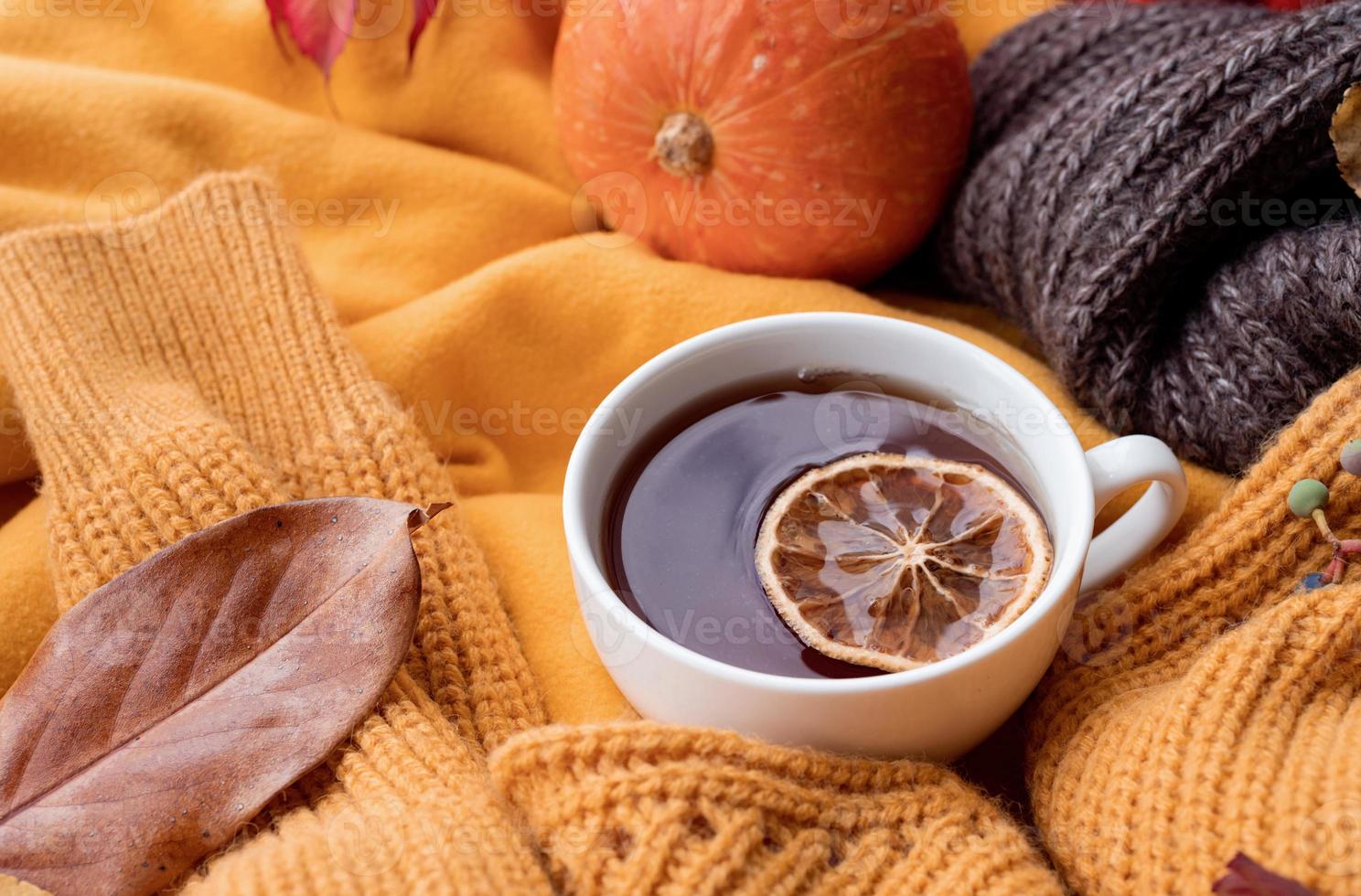 Cozy autumn composition, sweater weather. Pumpkins, hot tea and sweaters on window photo