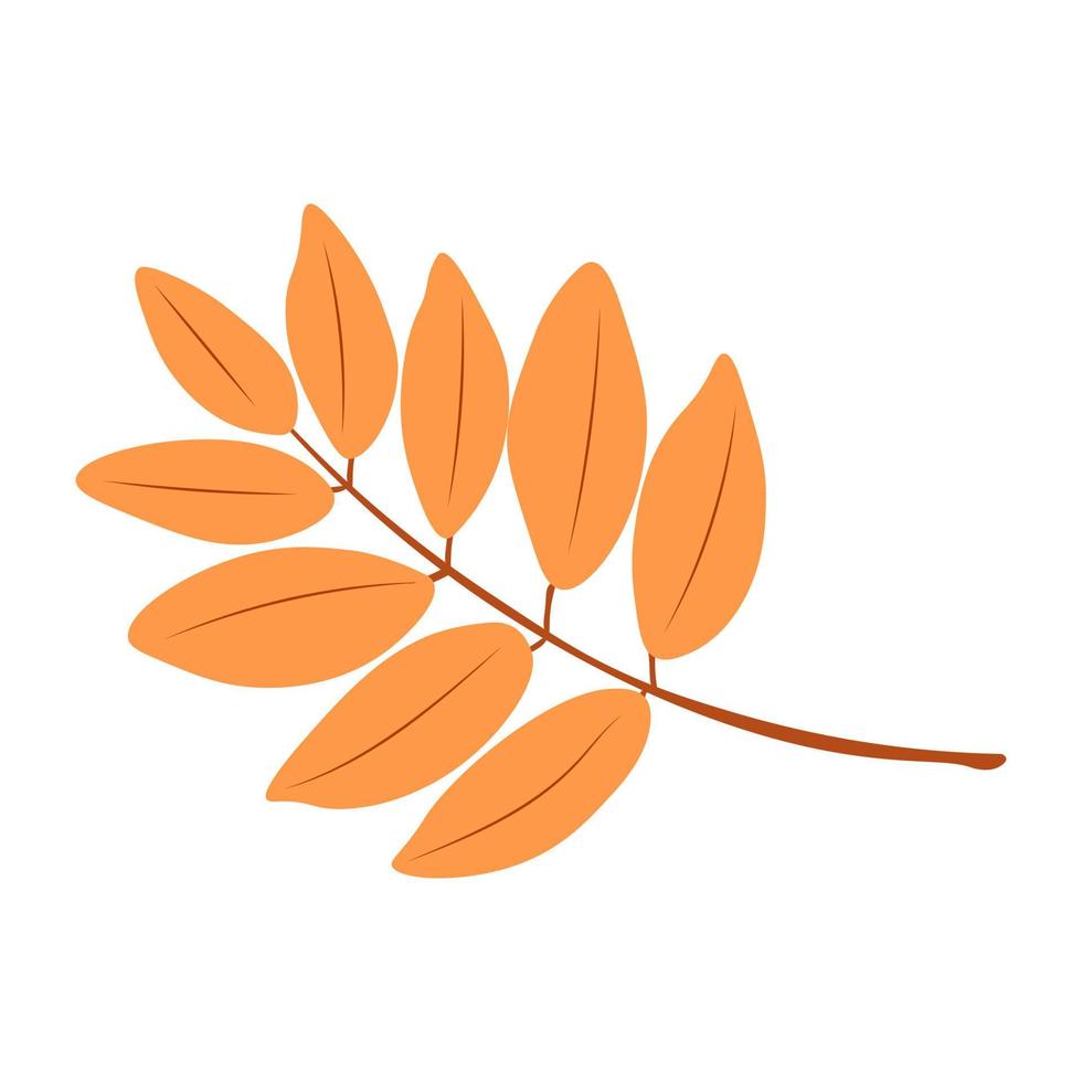 Autumn Leaves Vector Illustration. Autumn leaves. Top view of fall tree leaf. Flat vector