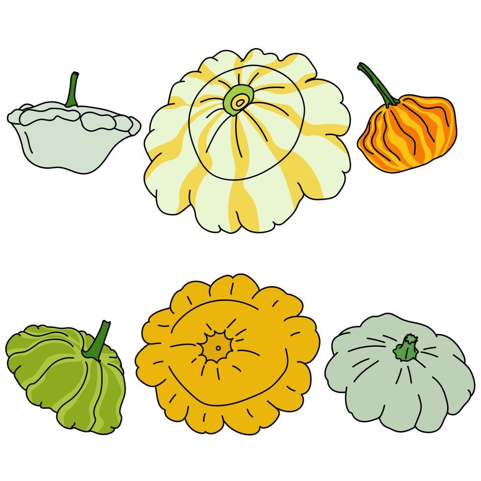 conjunto de calabaza, vegetales multicolores útiles de forma redonda vector