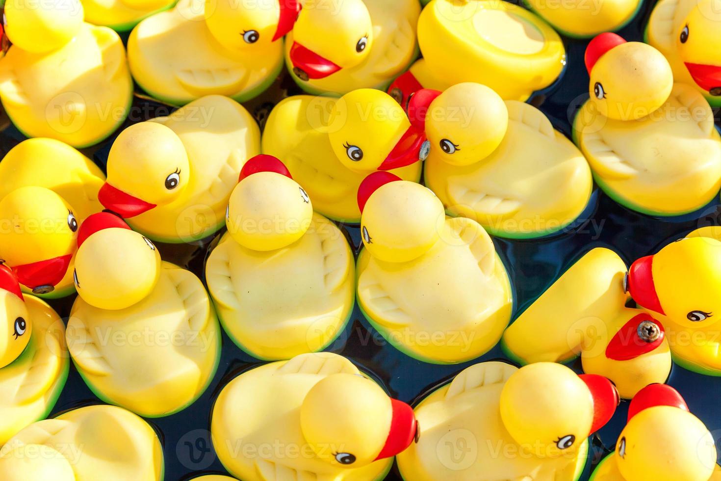 Many rubber yellow toy ducks floating in children's pool close up. photo