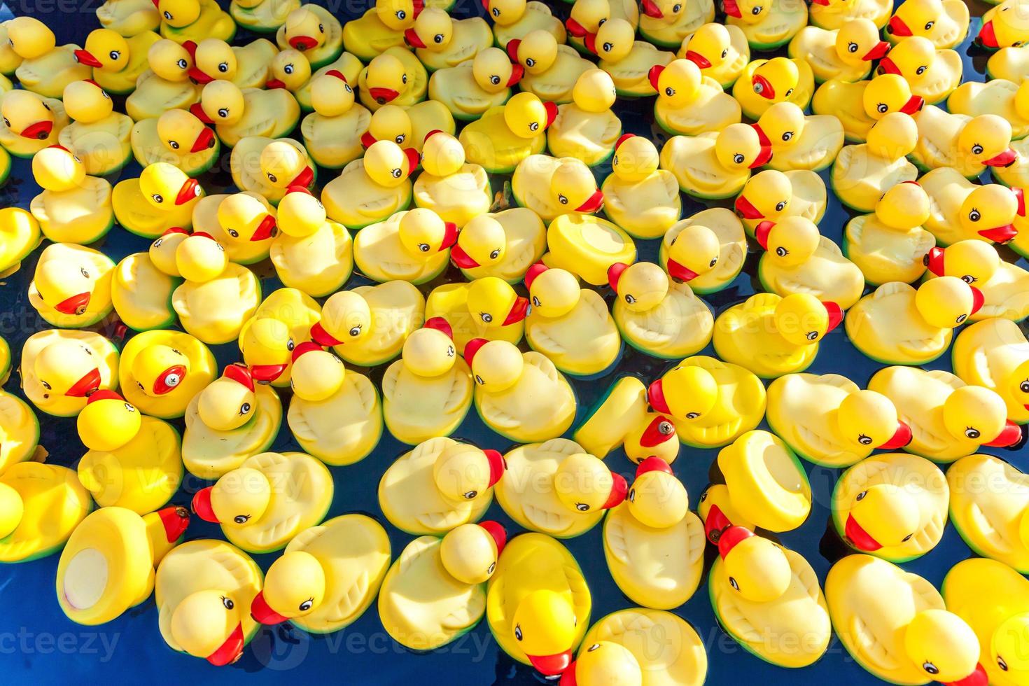 Many rubber yellow toy ducks floating in children's pool close up. photo