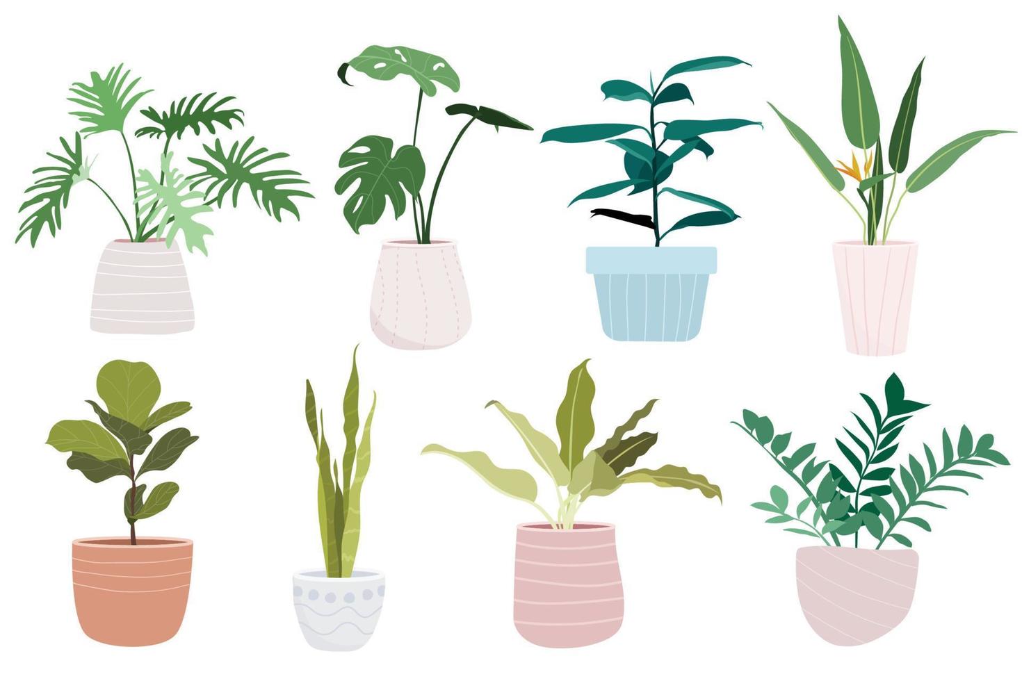 conjunto de plantas de interior en macetas vector