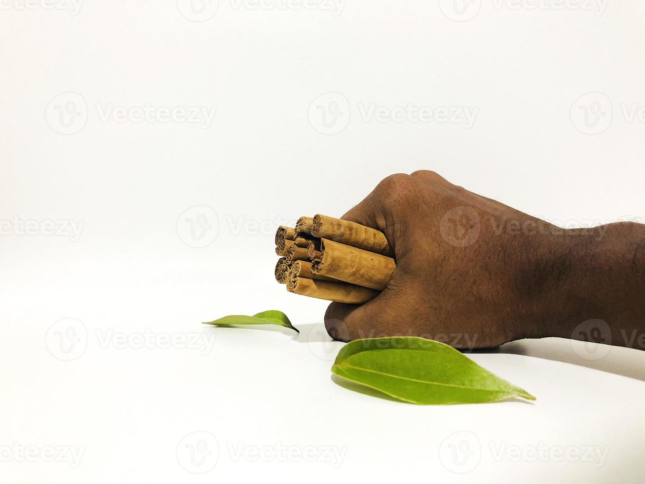 Fragrant cinnamon sticks on a white background photo