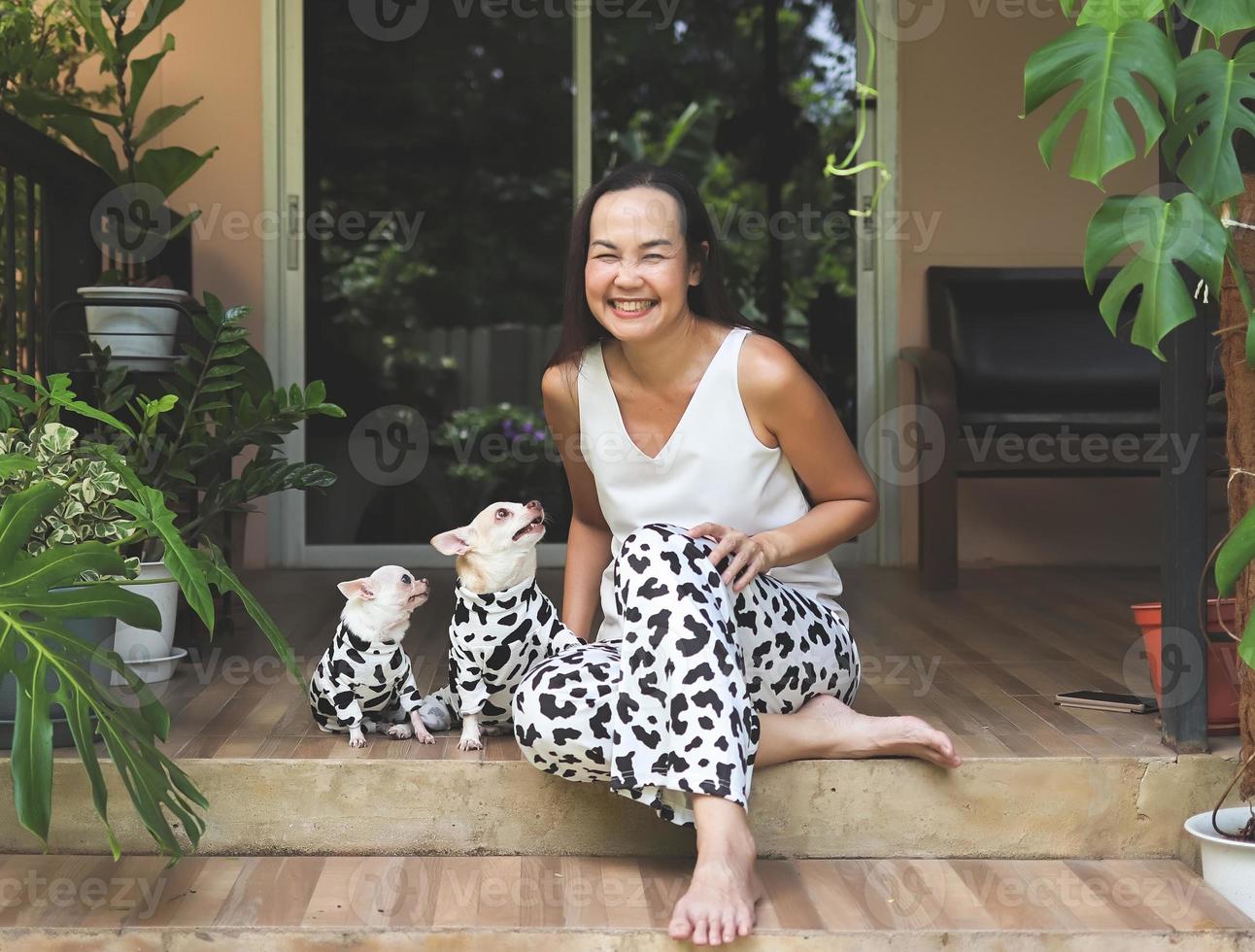 Asian woman and two chihuahua dogs wearing dalmatian or cow patterned costume, sitting in balcony with houseplant pots, smiling and looking at camera. photo