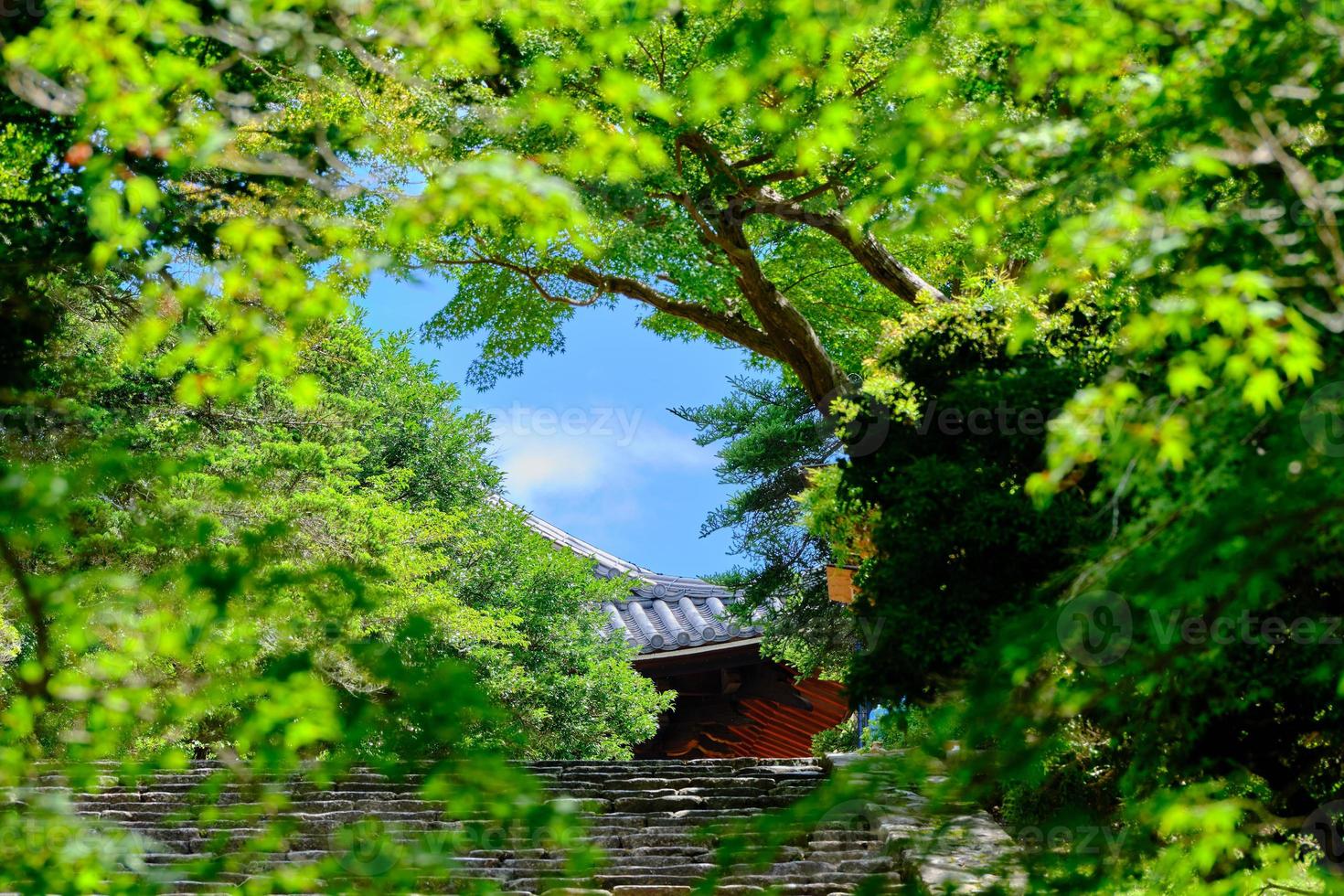 Peeking at a temple roof through a hole in the trees photo