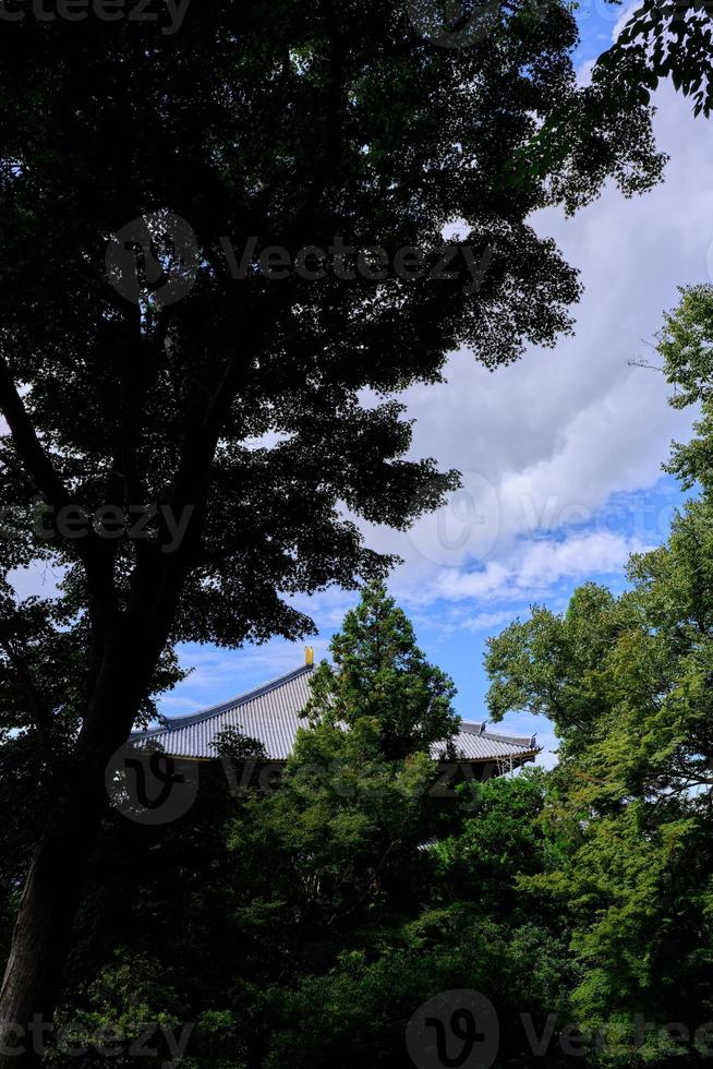 Buddhist temple roof and sky behind trees in shadow photo