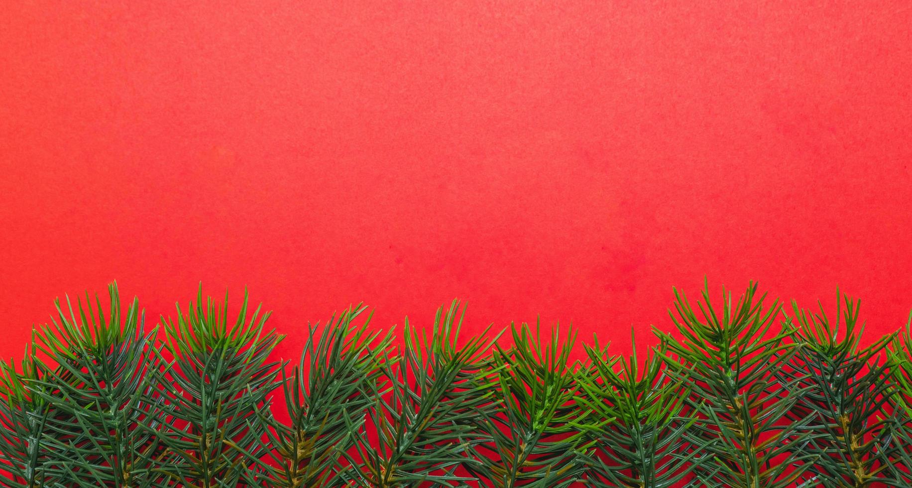 Christmas tree branches. The concept of the new year, christmas, nature. Banner. Flat lay, top view on white background photo