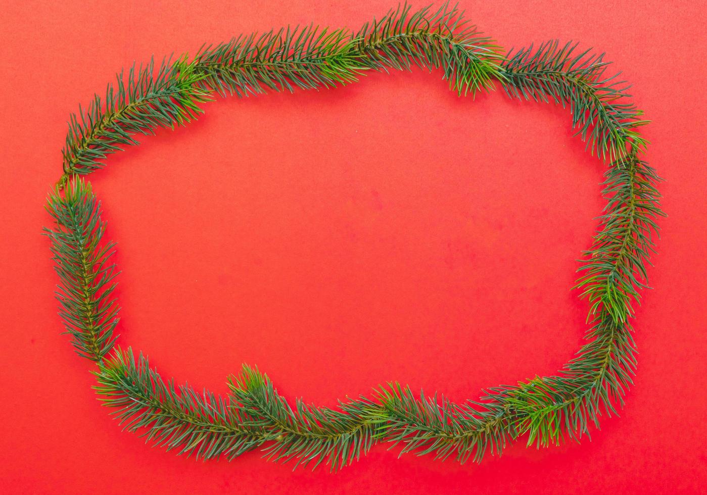 Christmas tree branches. The concept of the new year, christmas, nature. Banner. Flat lay, top view on white background photo