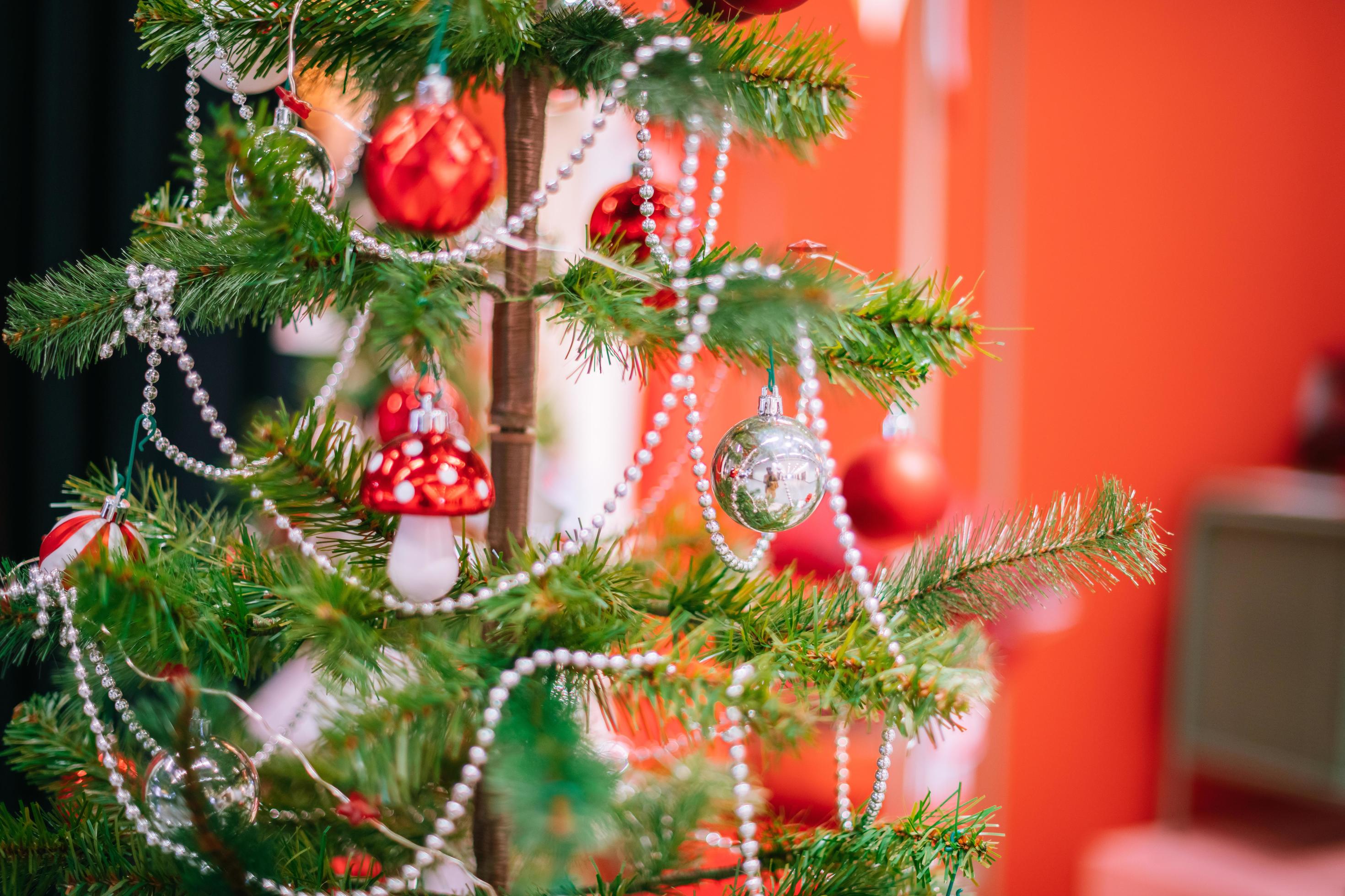 Christmas holidays banner, tree, bokeh background 11557726 Stock Photo