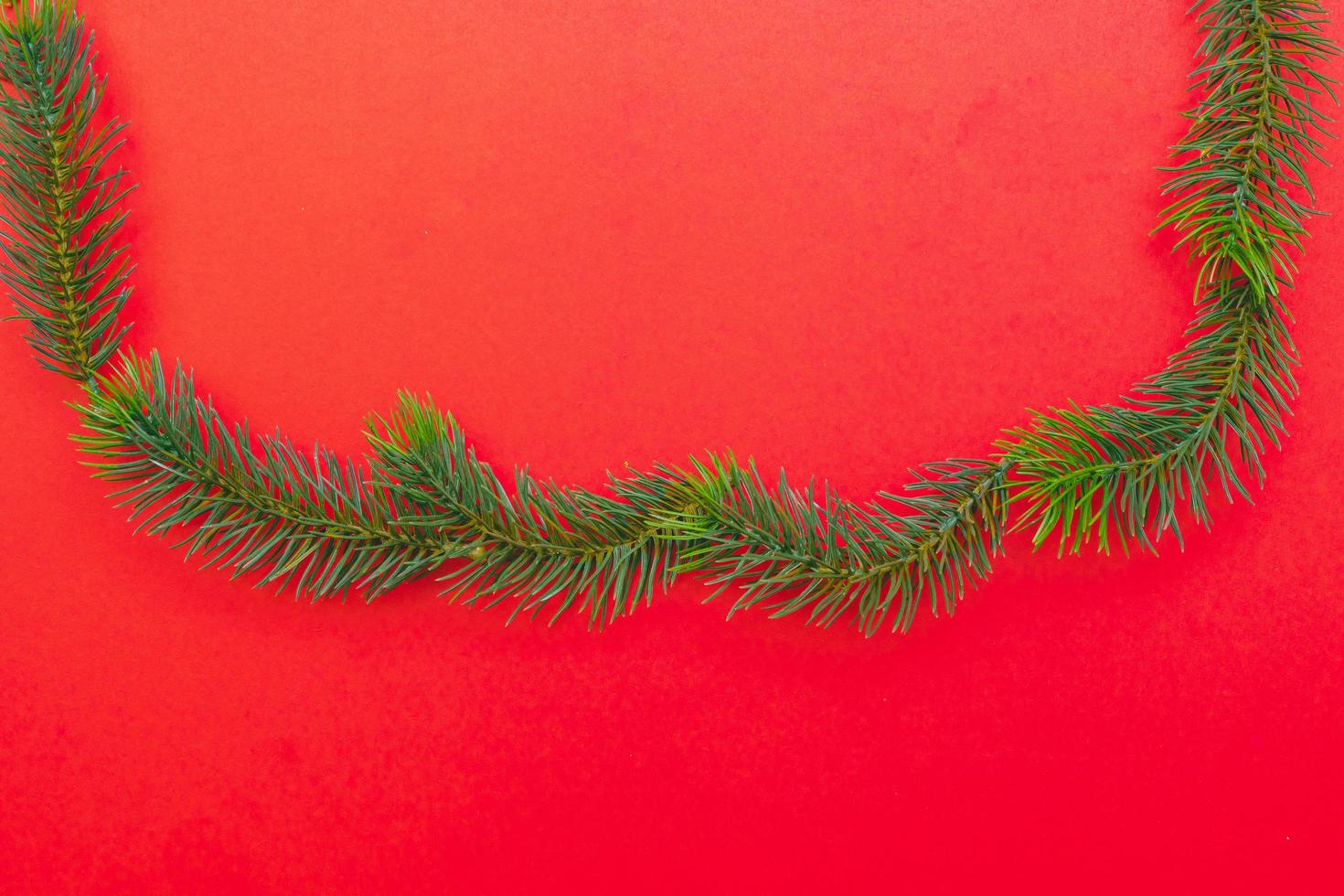 Christmas tree branches. The concept of the new year, christmas, nature. Banner. Flat lay, top view on white background photo