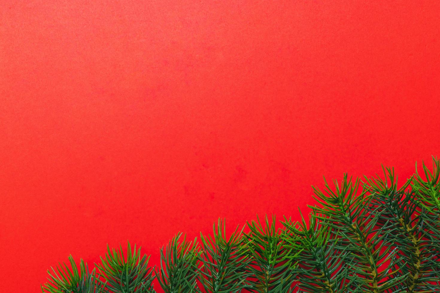 Christmas tree branches. The concept of the new year, christmas, nature. Banner. Flat lay, top view on white background photo