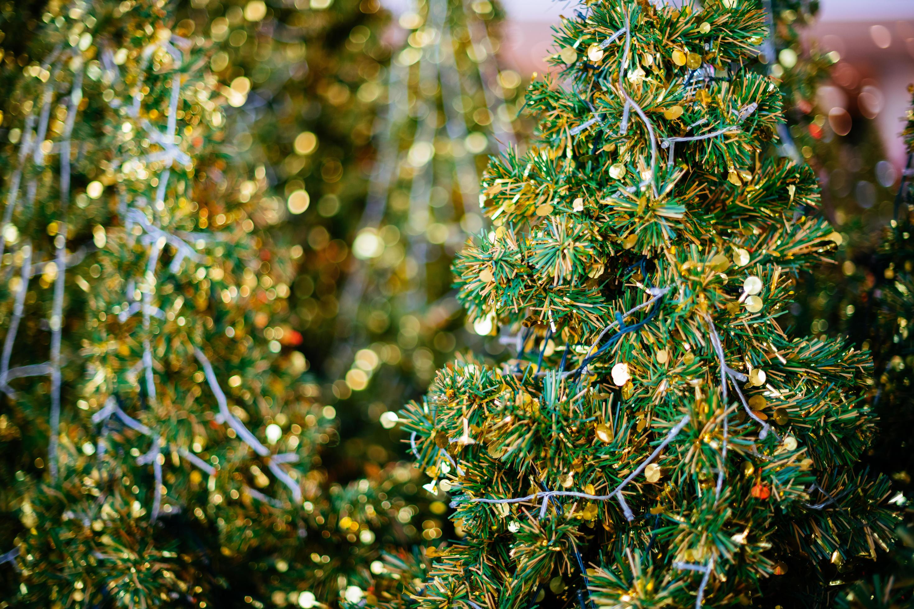 Christmas holidays banner, tree, bokeh background 11558231 Stock Photo