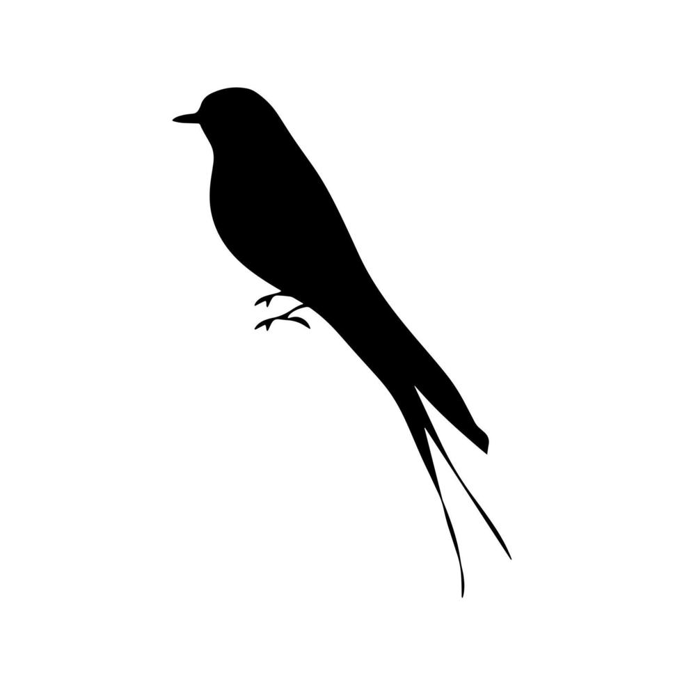 Illustration Silhouette Vector of Bird Isolated White