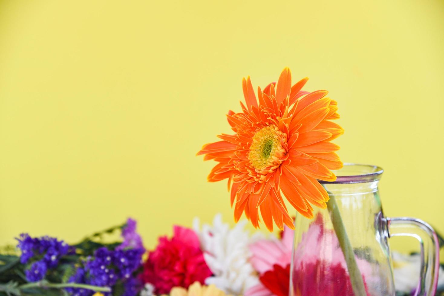 Orange gerbera daisy flower in glass jar on colorful flowers spring summer blooming photo