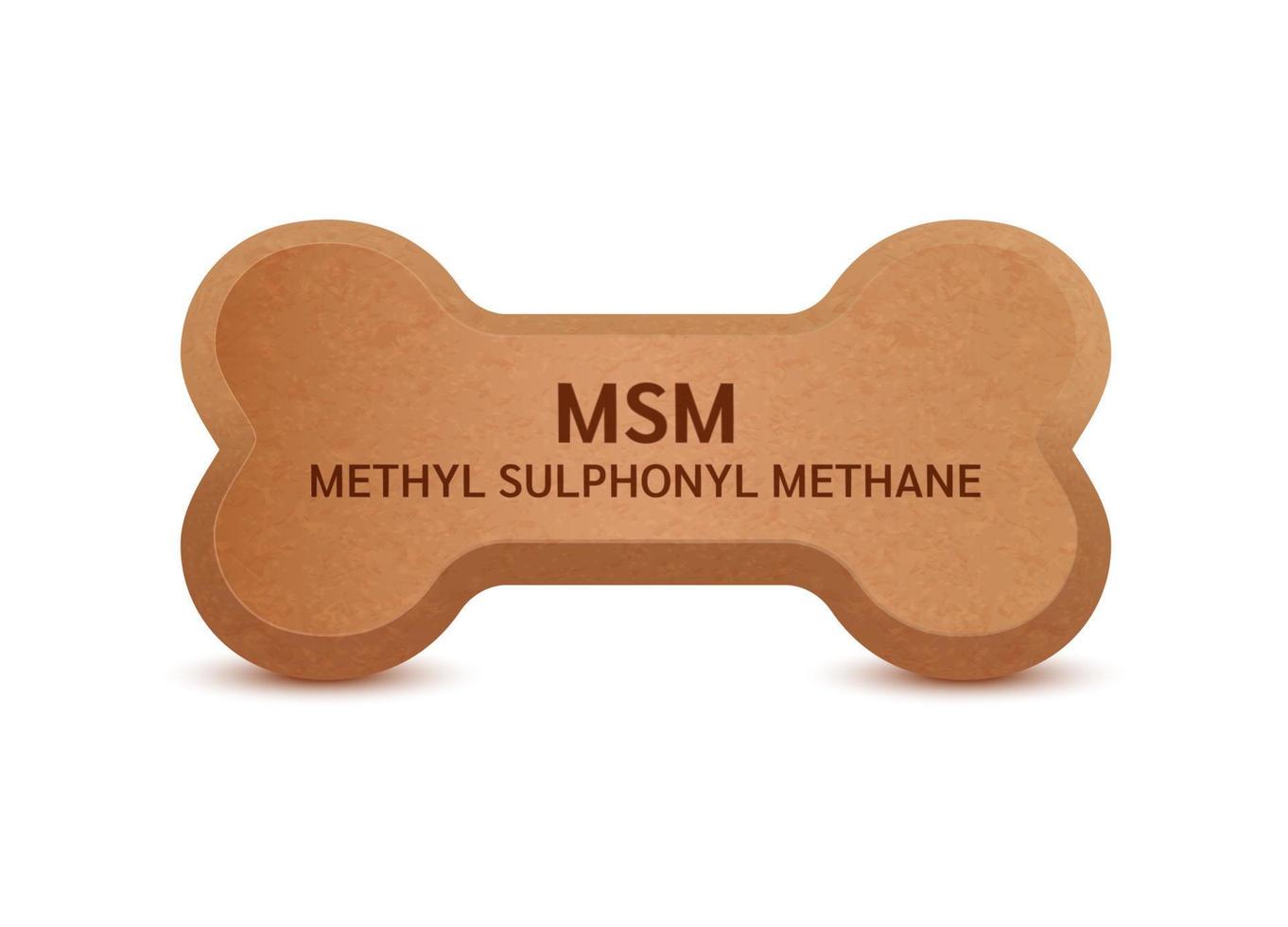 Bone shaped dry food for cats and dogs with methyl sulphonyl methane dietary supplement bones canine arthritis osteoarthritis. On a white background vector 3D. Can use for advertising pet food.