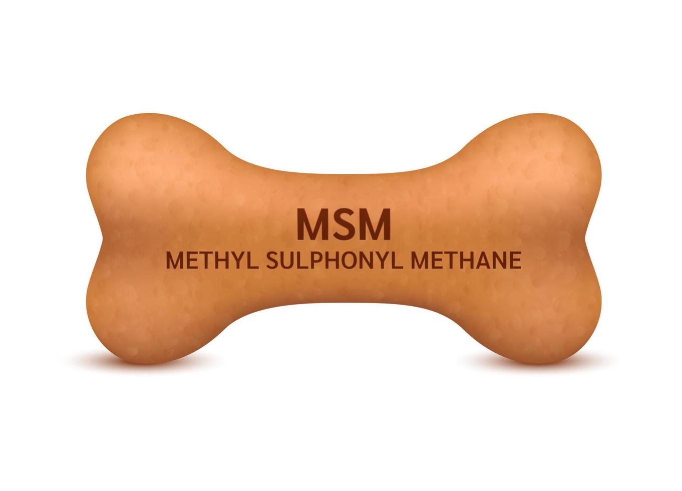 Bone shaped dry food for cats and dogs with methyl sulphonyl methane dietary supplement bones canine arthritis osteoarthritis. Can use for advertising pet food. On a white background vector 3D.