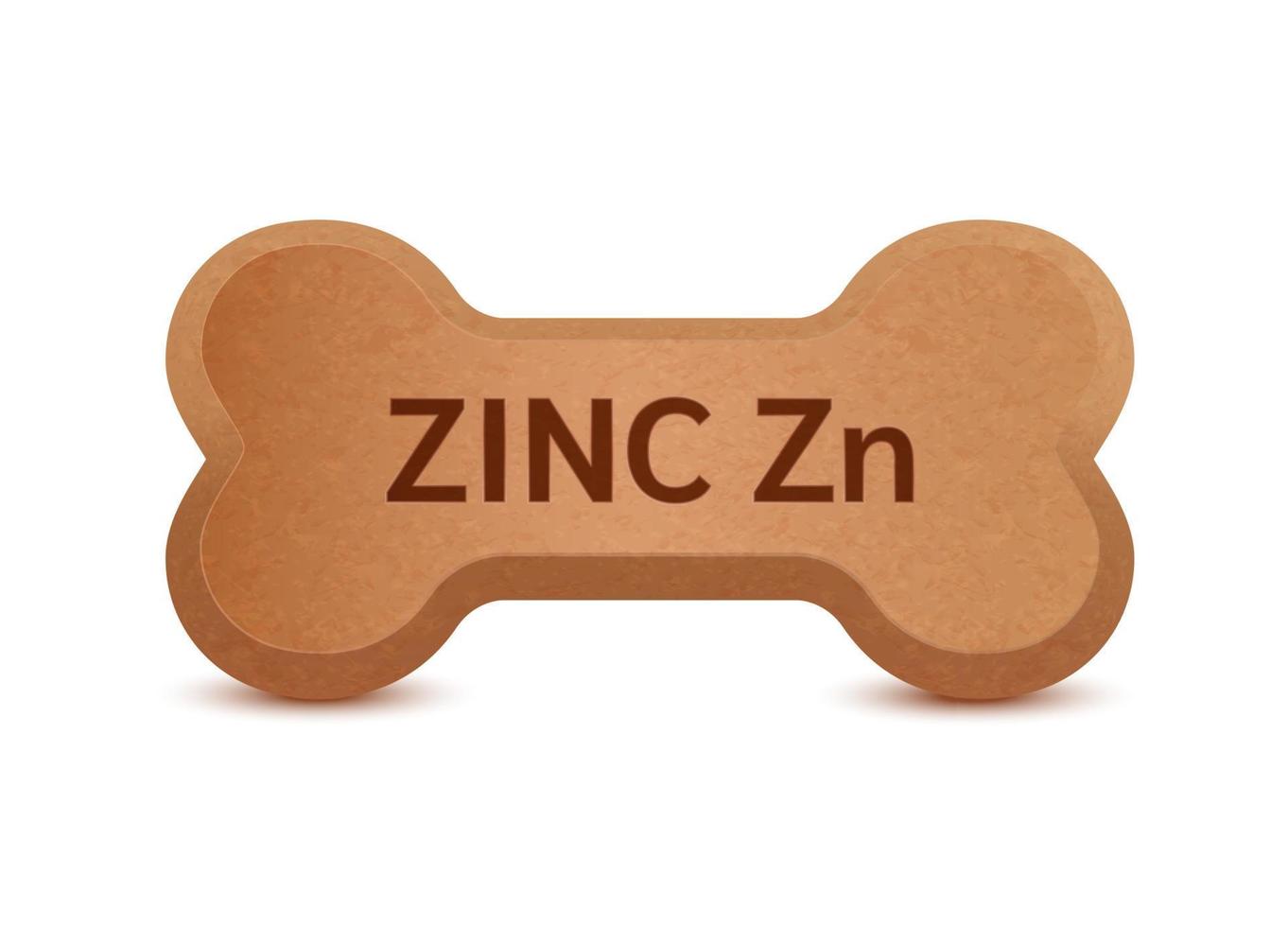 Bone shaped dry food for cats and dogs with zinc dietary supplement bones canine arthritis osteoarthritis. On a white background vector 3D. Can use for advertising pet food.