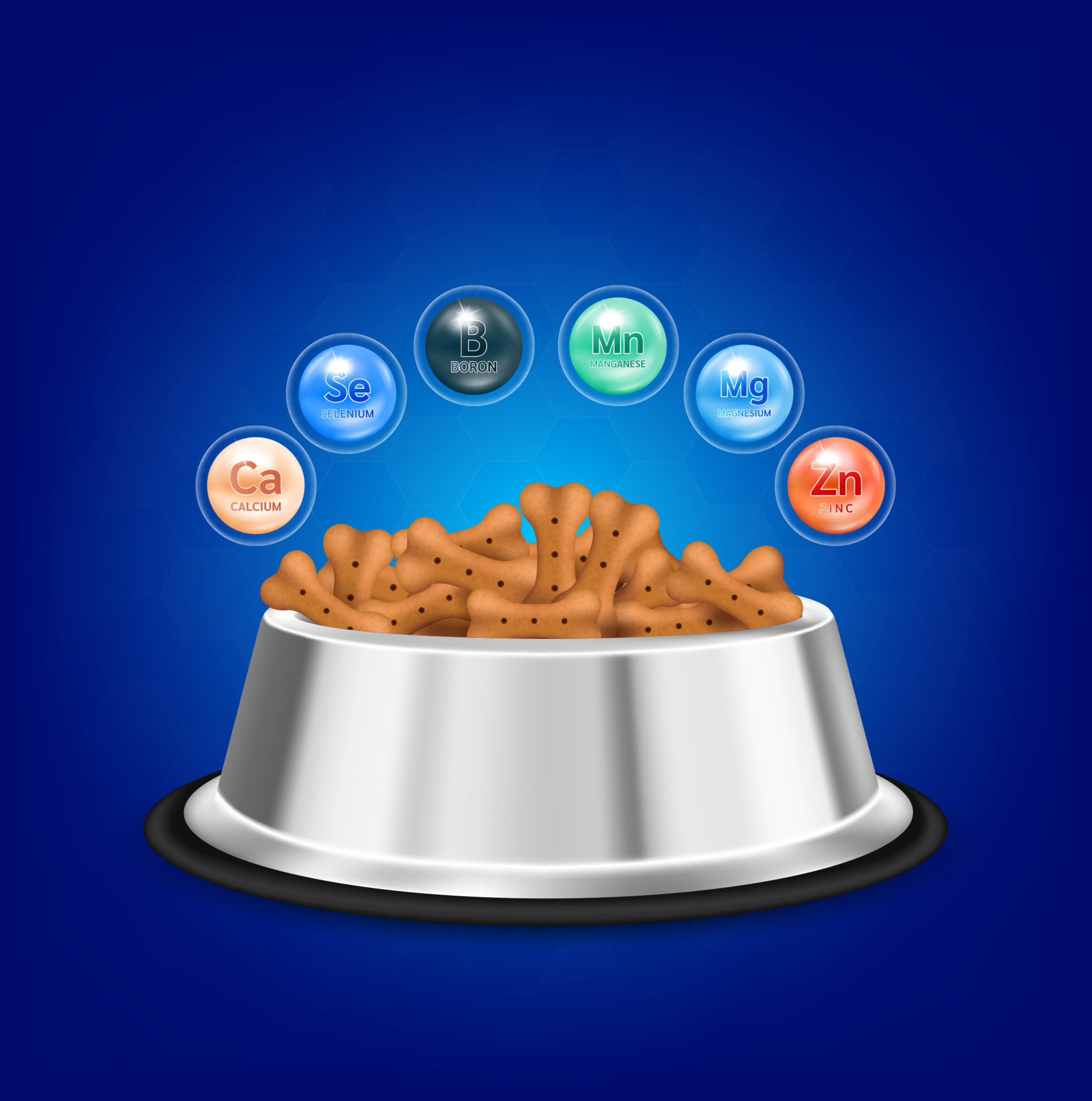 What Foods Have Zinc For Dogs