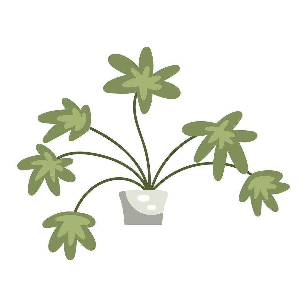 ilustración de una planta de interior en una maceta vector