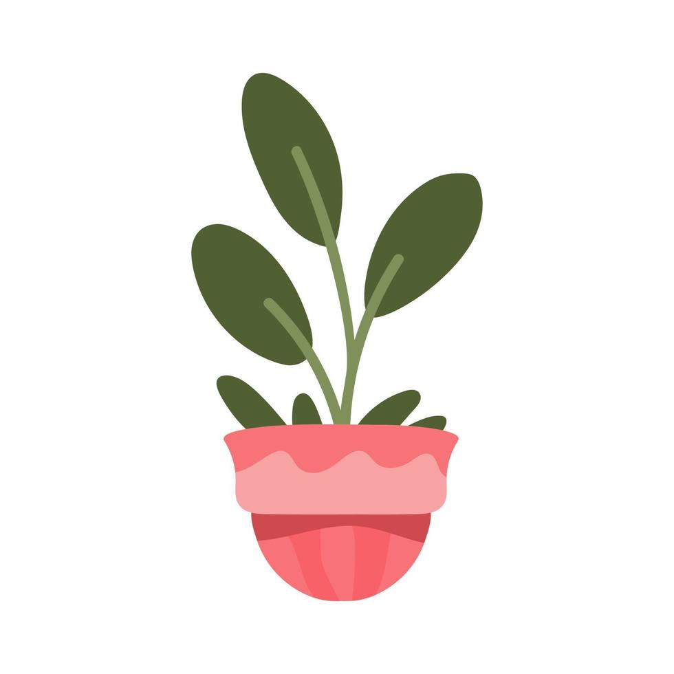 Illustration of a houseplant in a flowerpot vector