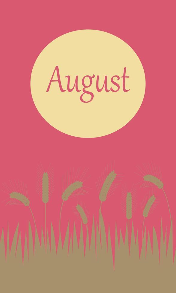 agosto. pancarta de verano. puesta de sol, campo de trigo. adecuado para postales, calendarios, productos promocionales. ilustración vectorial de dibujos animados vector