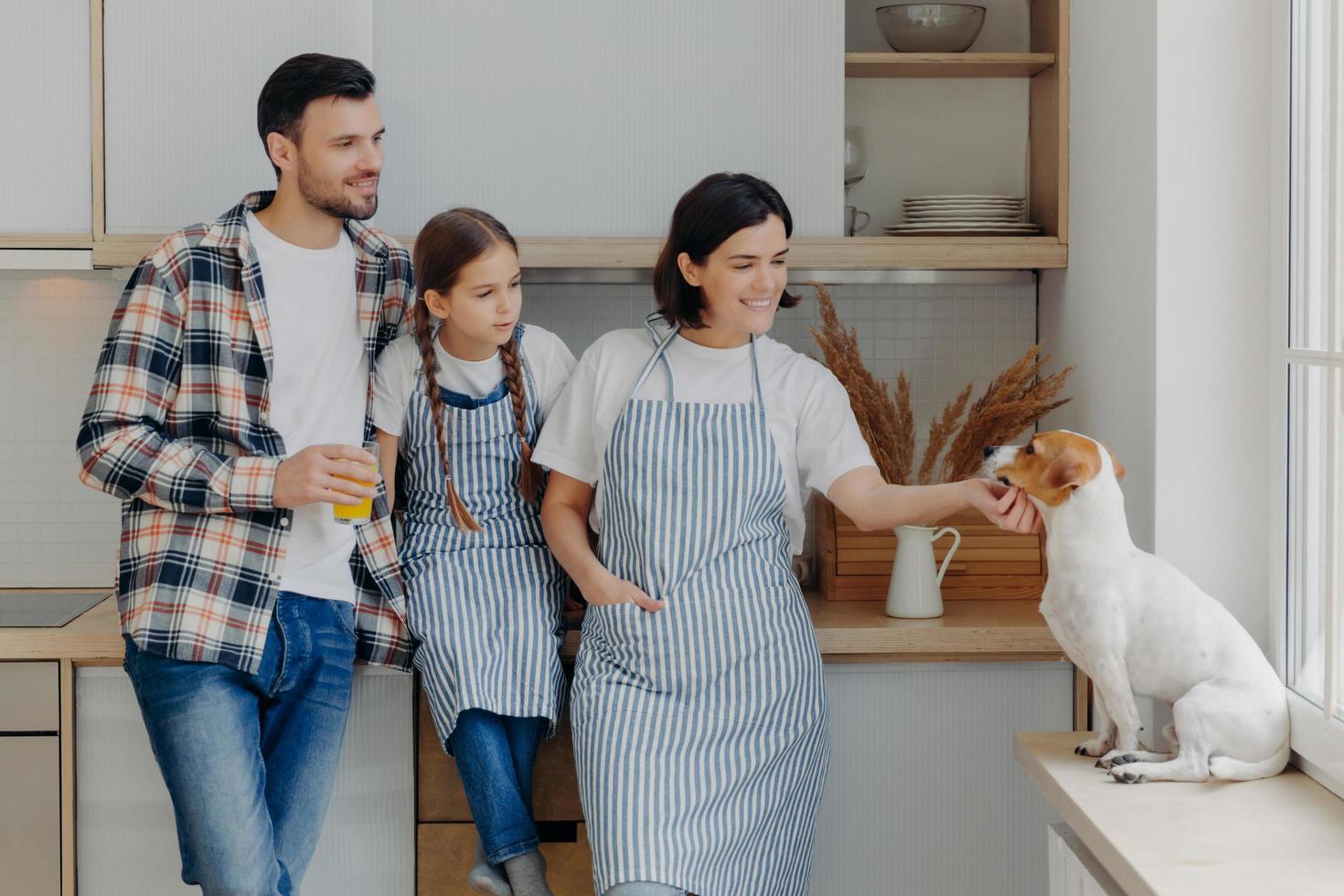 Friendly positive family members stand together at kitchen, play with dog, mother and daughter wear aprons, father drinks fresh juice, enjoy domestic atmosphere. People, relationship, home concept photo