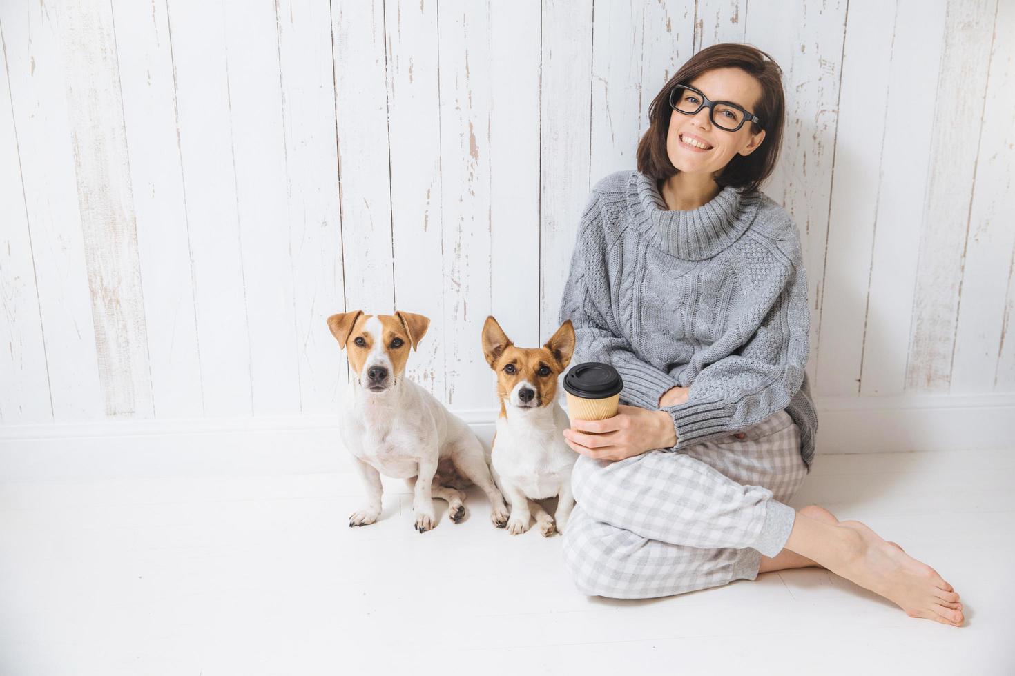 una alegre y alegre mujer morena vestida con ropa cálida de punto de invierno, se sienta en la habitación con sus perros, bebe café para llevar, posa ante la cámara, disfruta de un buen ambiente doméstico. Relacion amistosa foto