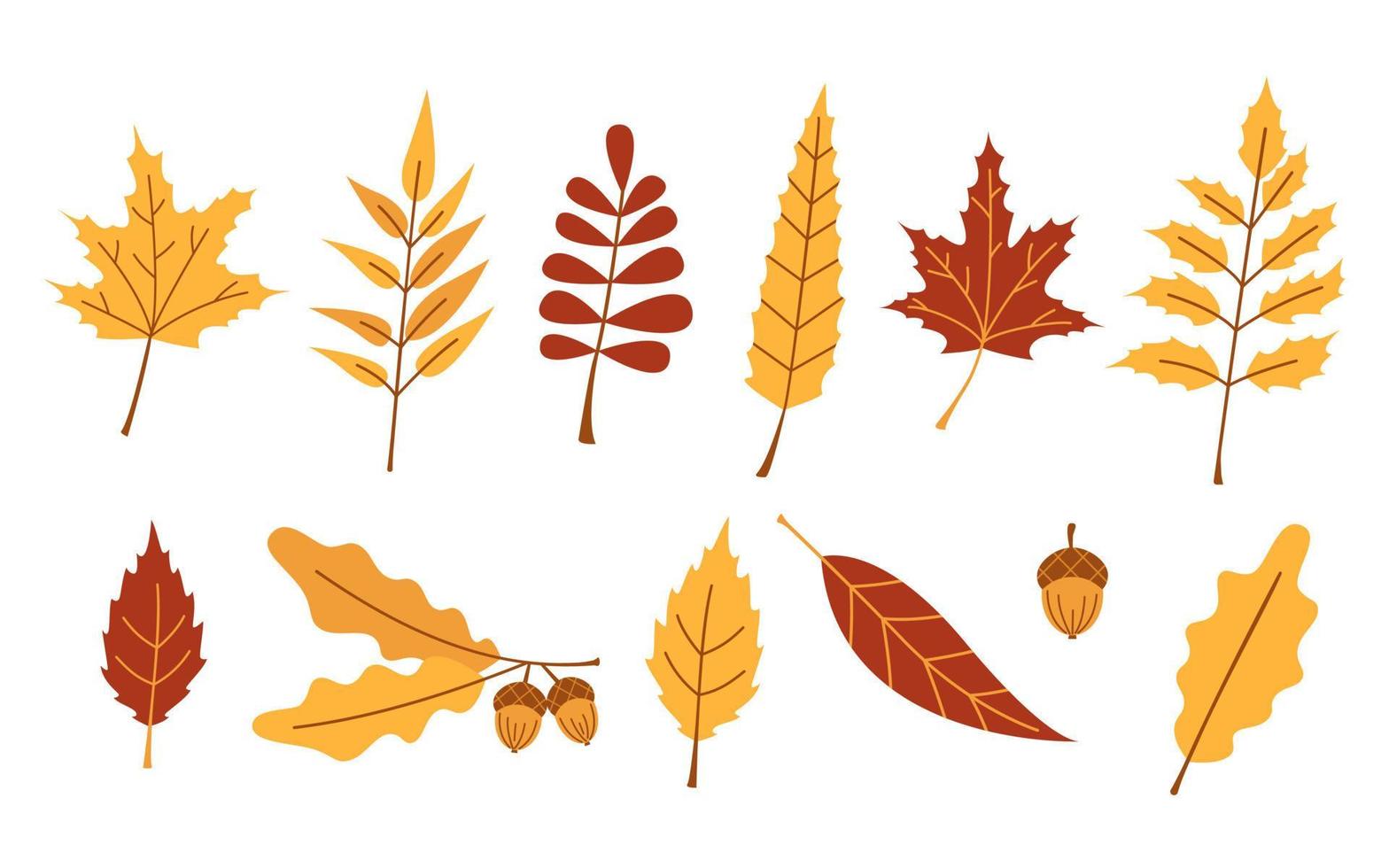 Vector autumn set with red and yellow leaves. Oak branch and acorn, maple and rowan leaves. Fall collection. October trees.