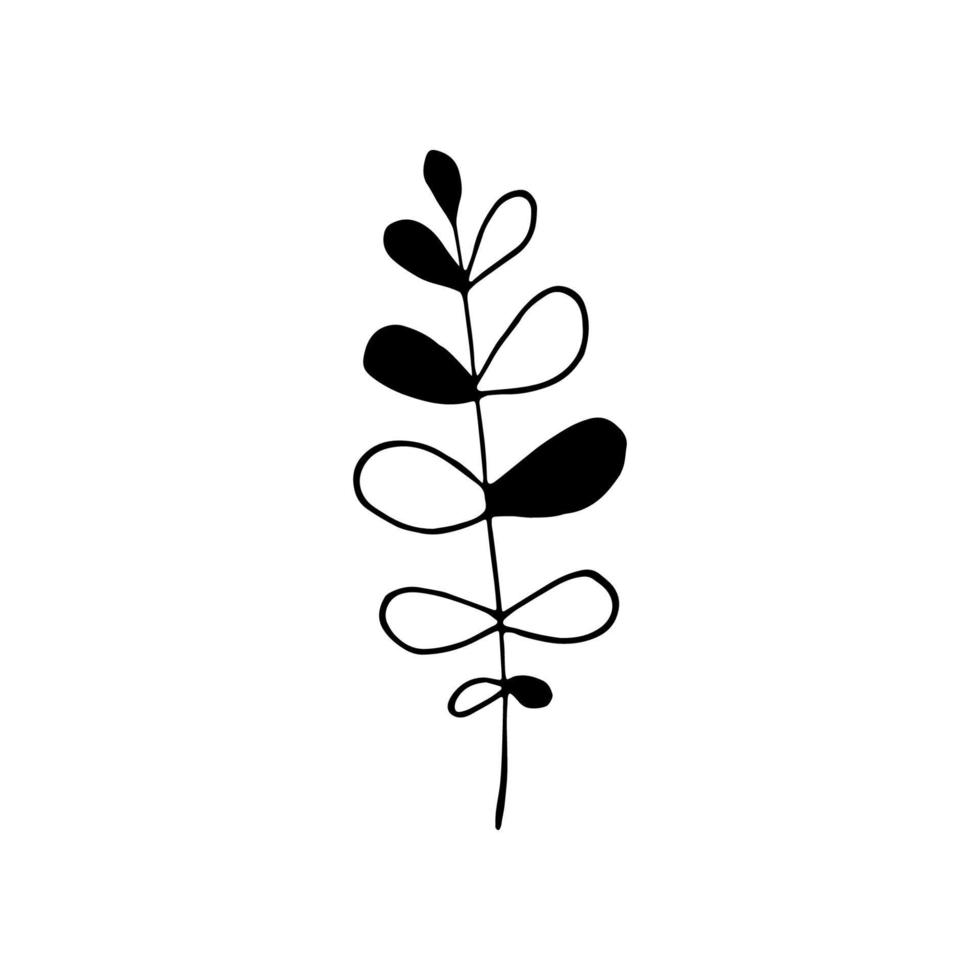 Hand drawn doodle leaf. Vector clipart with branch.